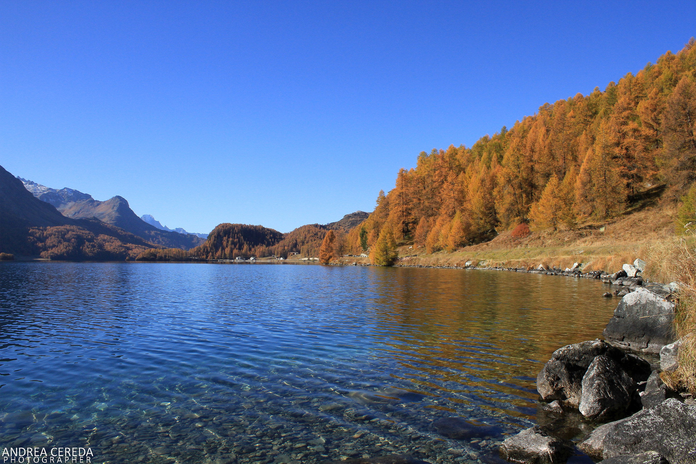 Autunno in Engadina - Lago di Sils