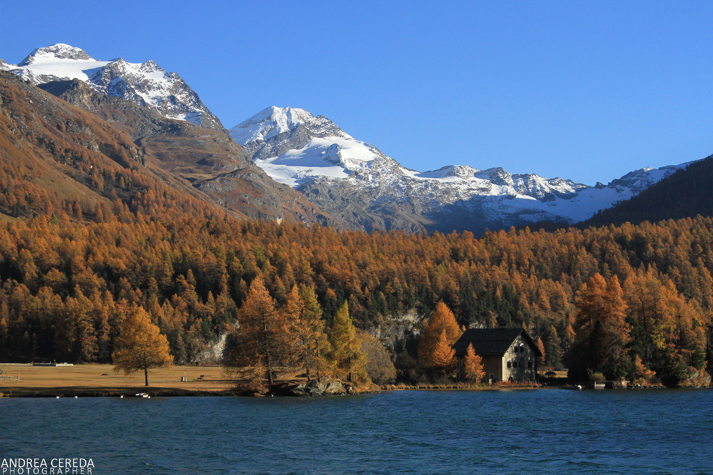 Autunno in Engadina - Lago di Sils