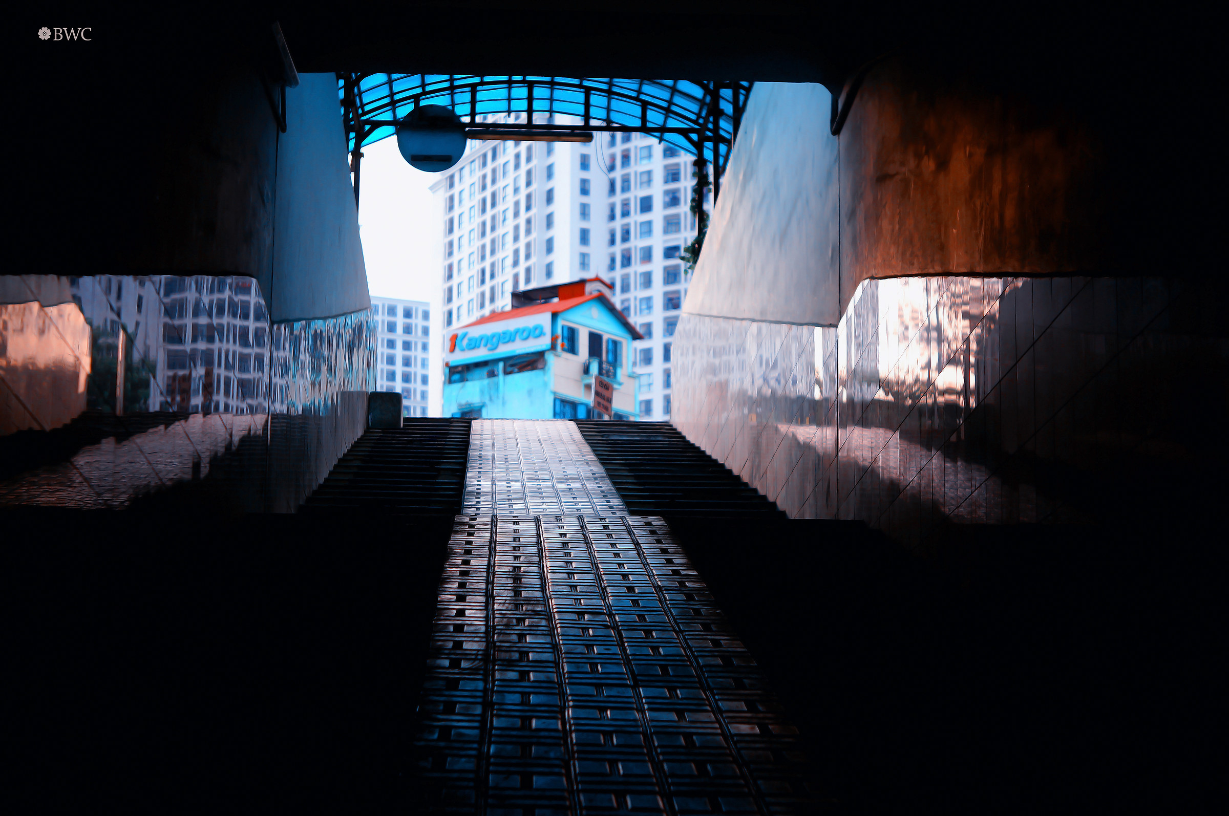 Vision From The Dark Tunnel