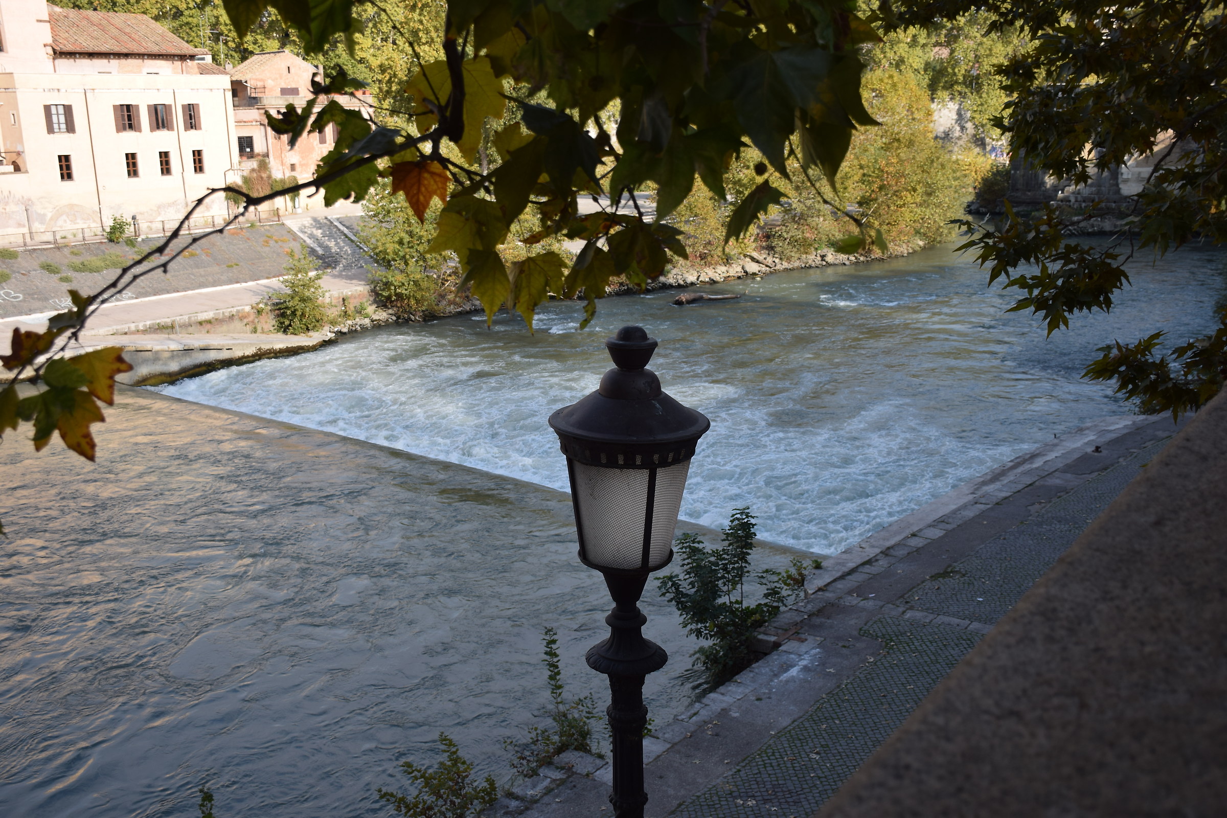 The Tiber