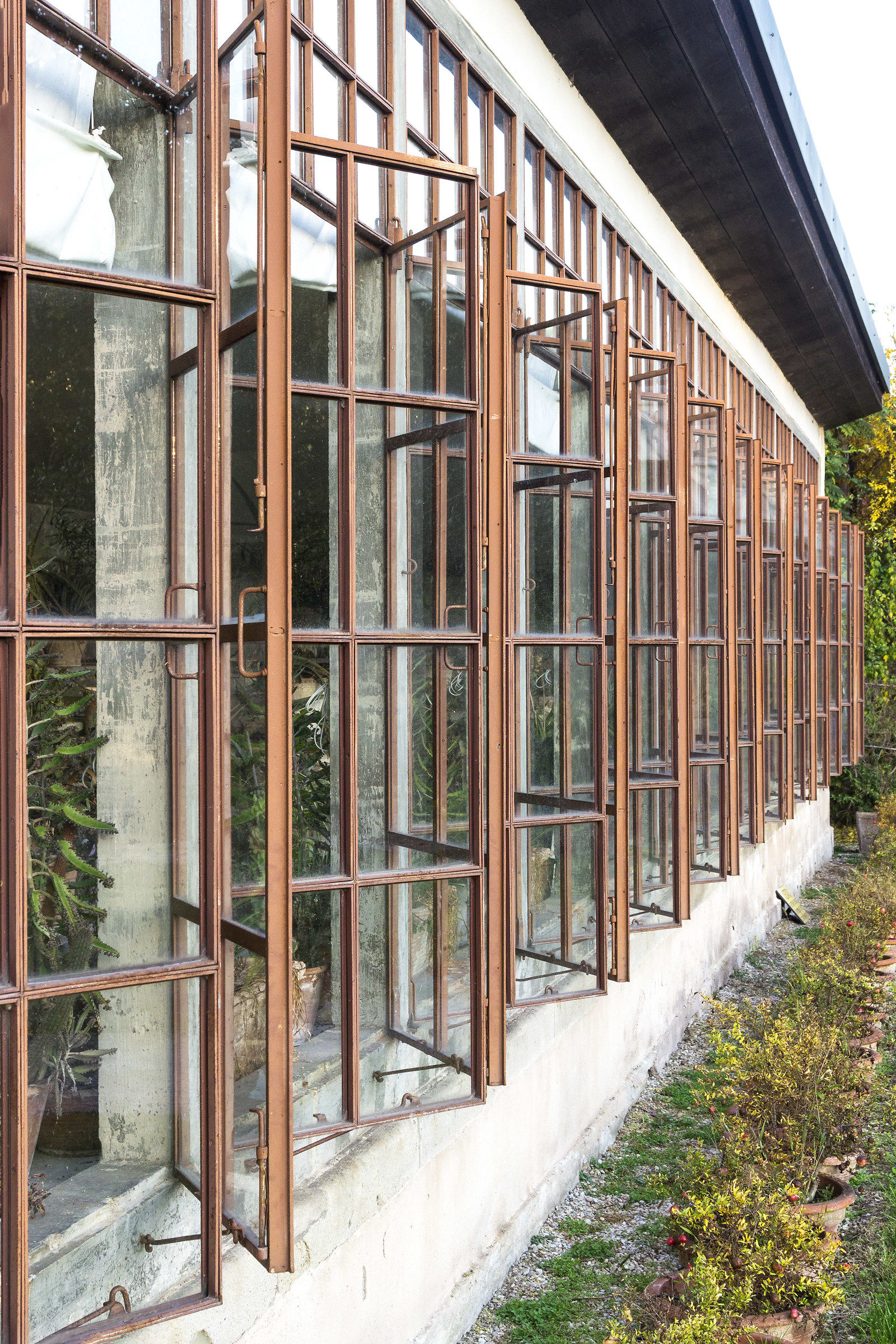 The greenhouse windows
