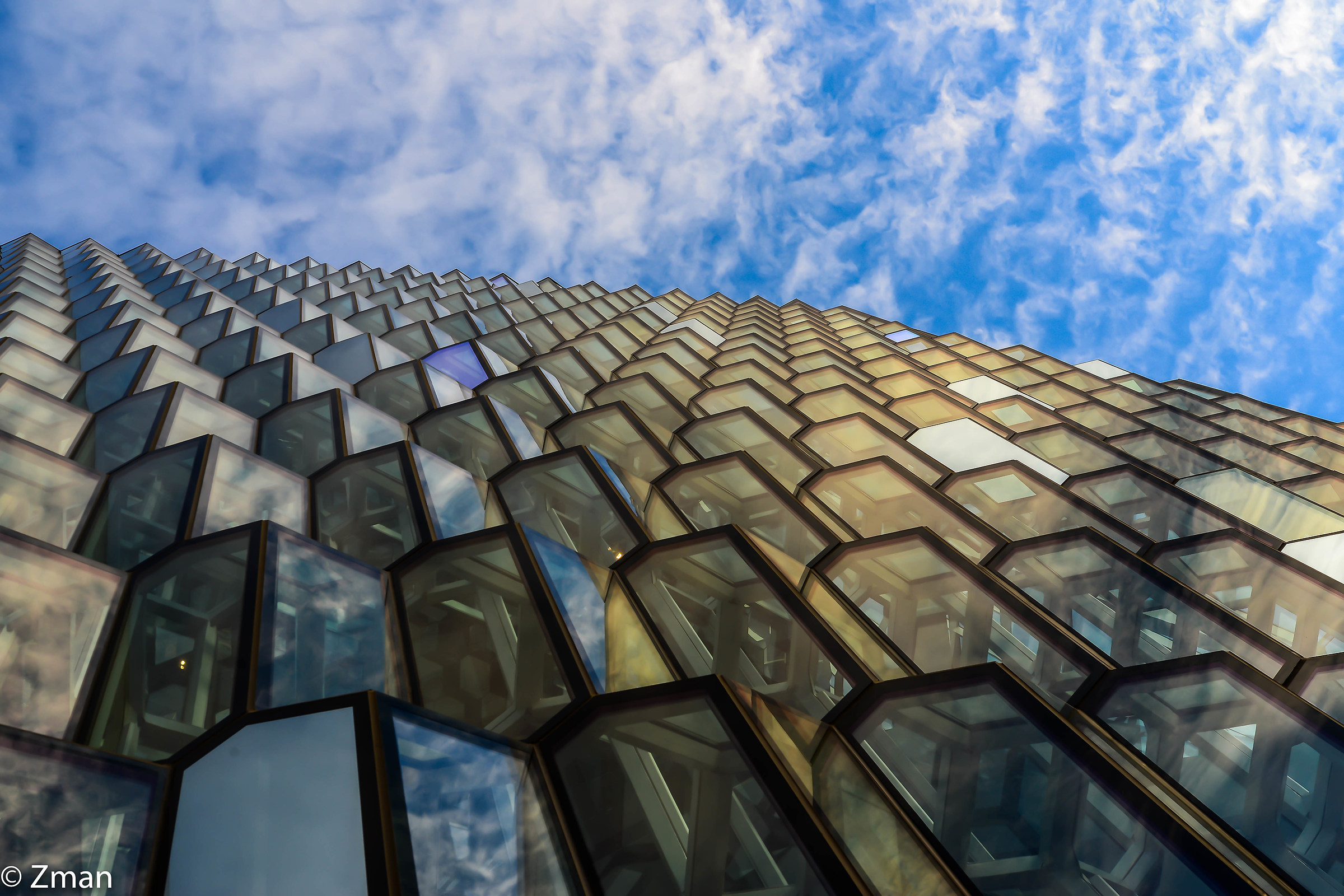 Rivestimento di Harpa