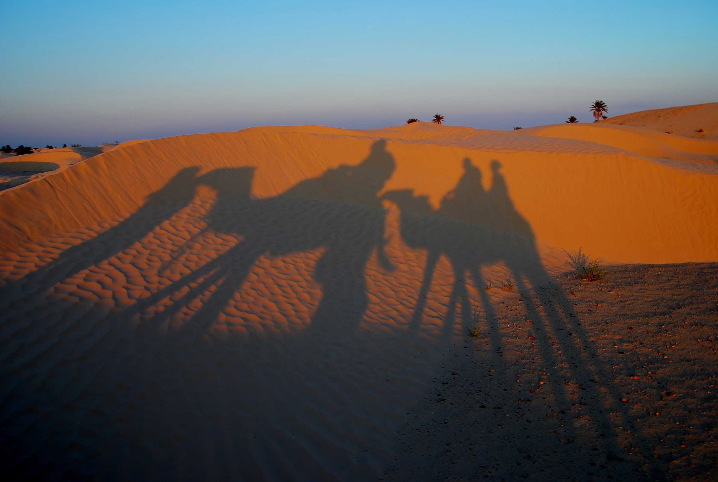 Shadows on the dune