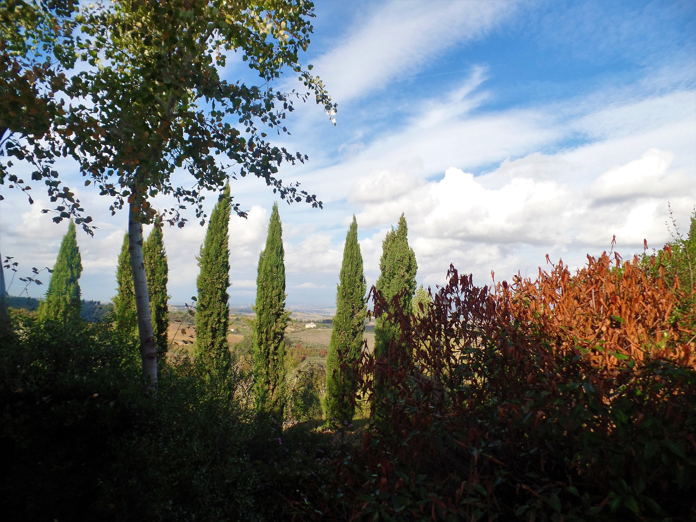Tuscan landscape