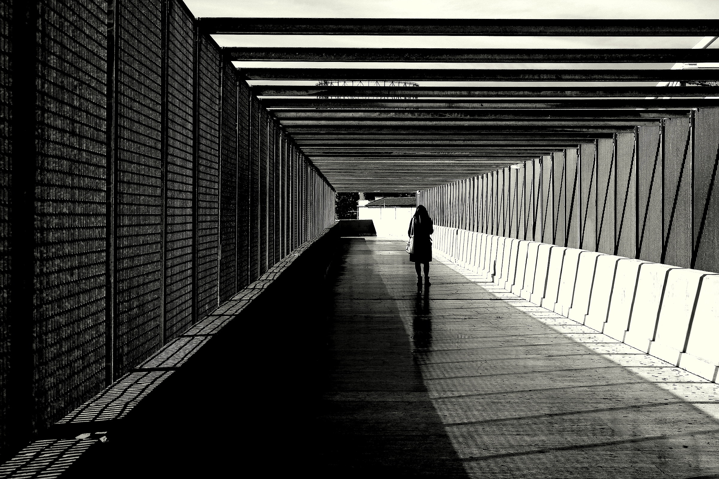 Tra la luce e le ombre