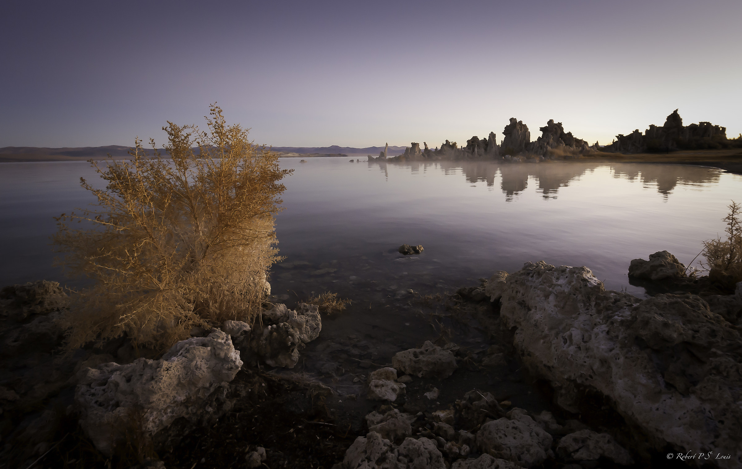 Mono Lago Alba
