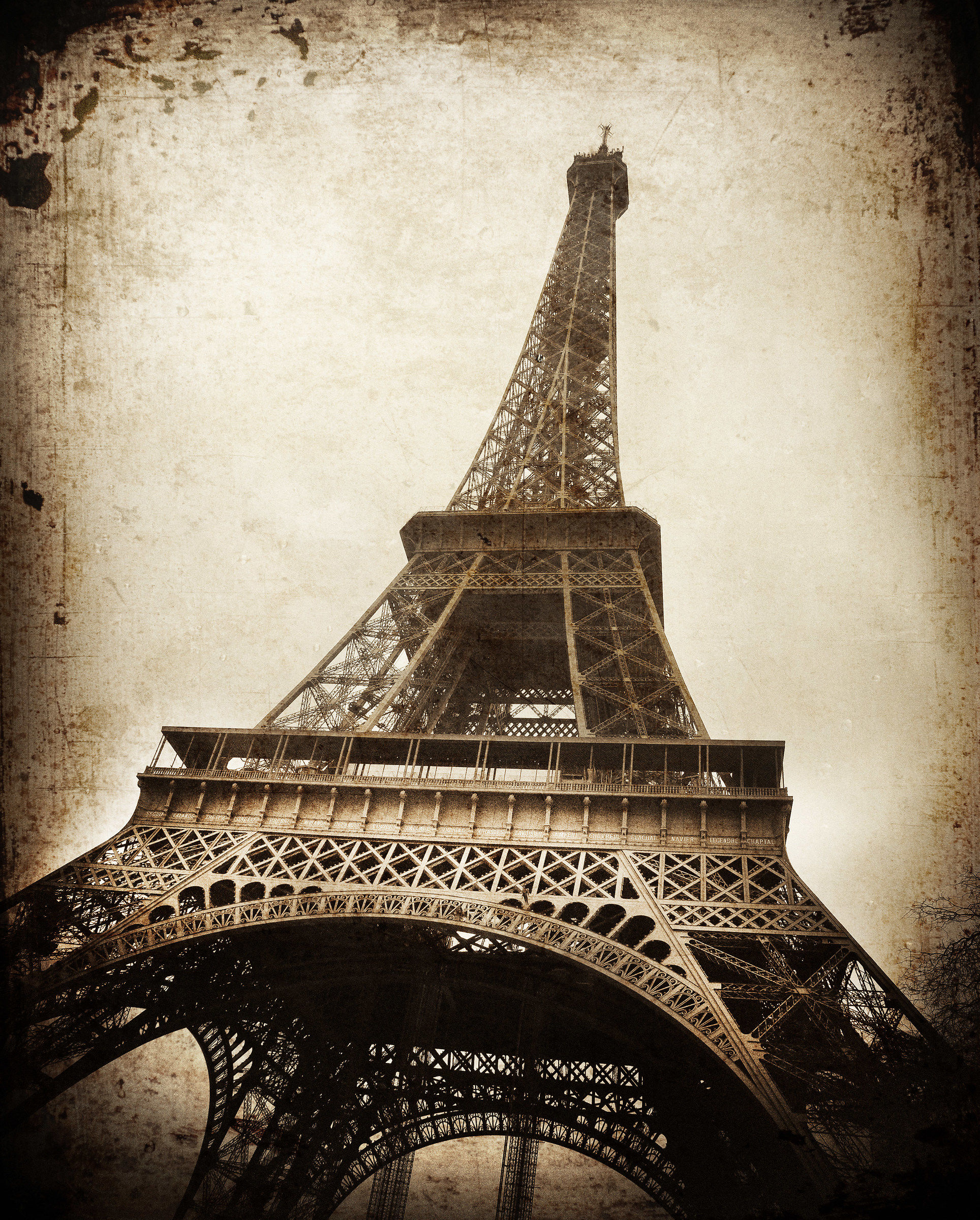 the Eiffel tower
