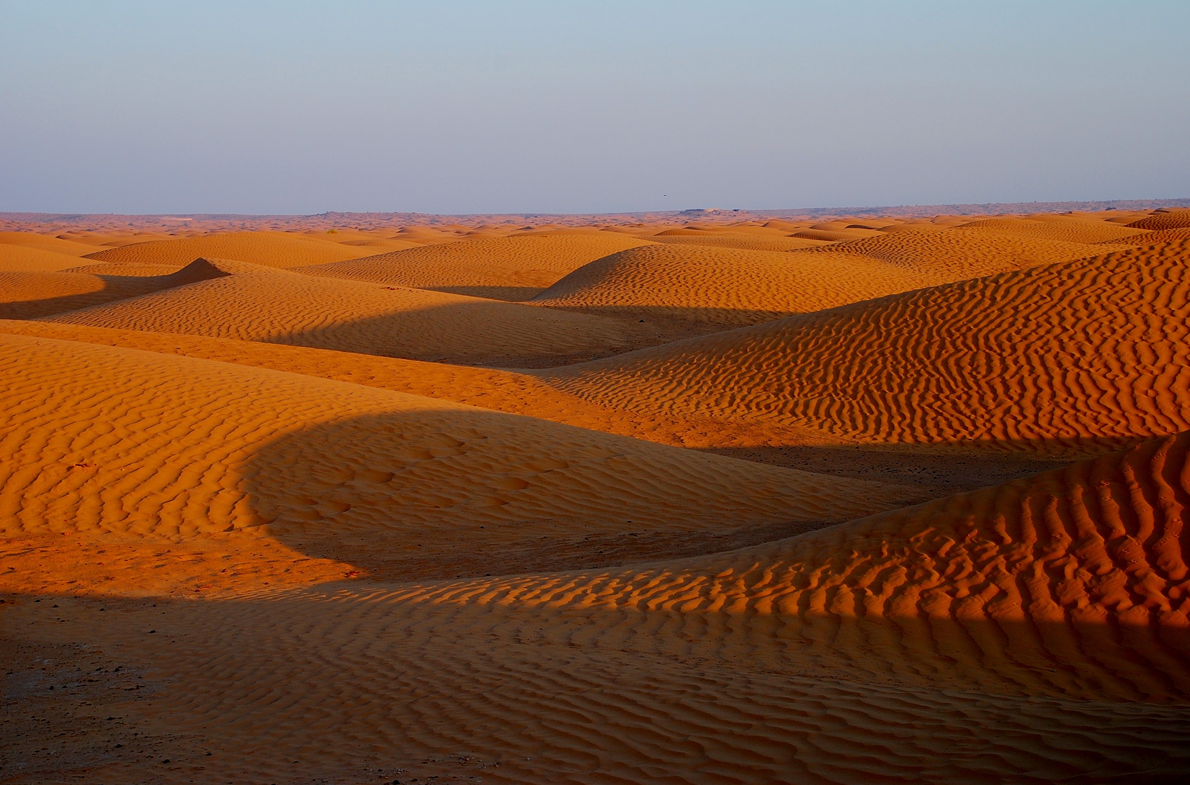 Sunrise on the dunes