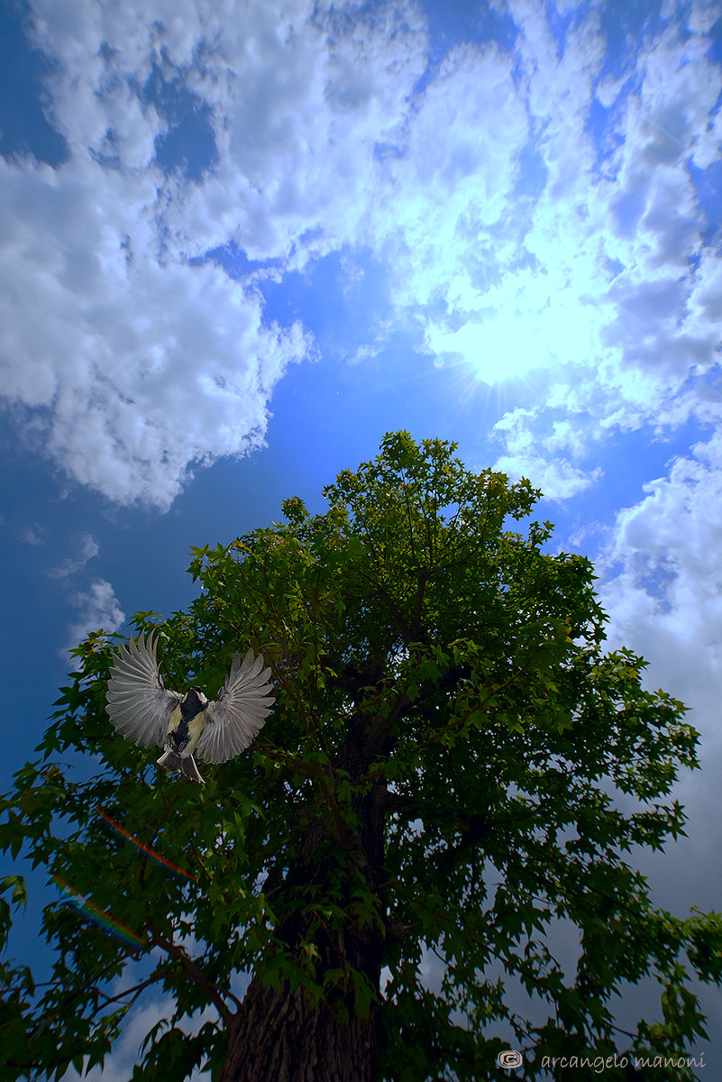 Aspirating to heaven