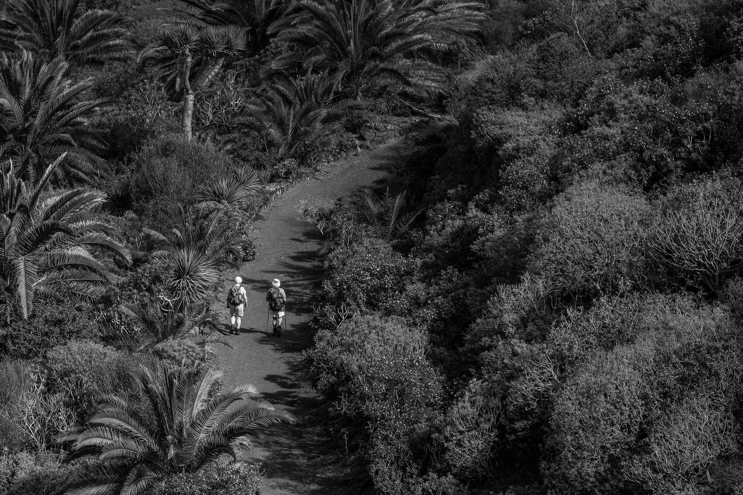 a passage between nature ...........