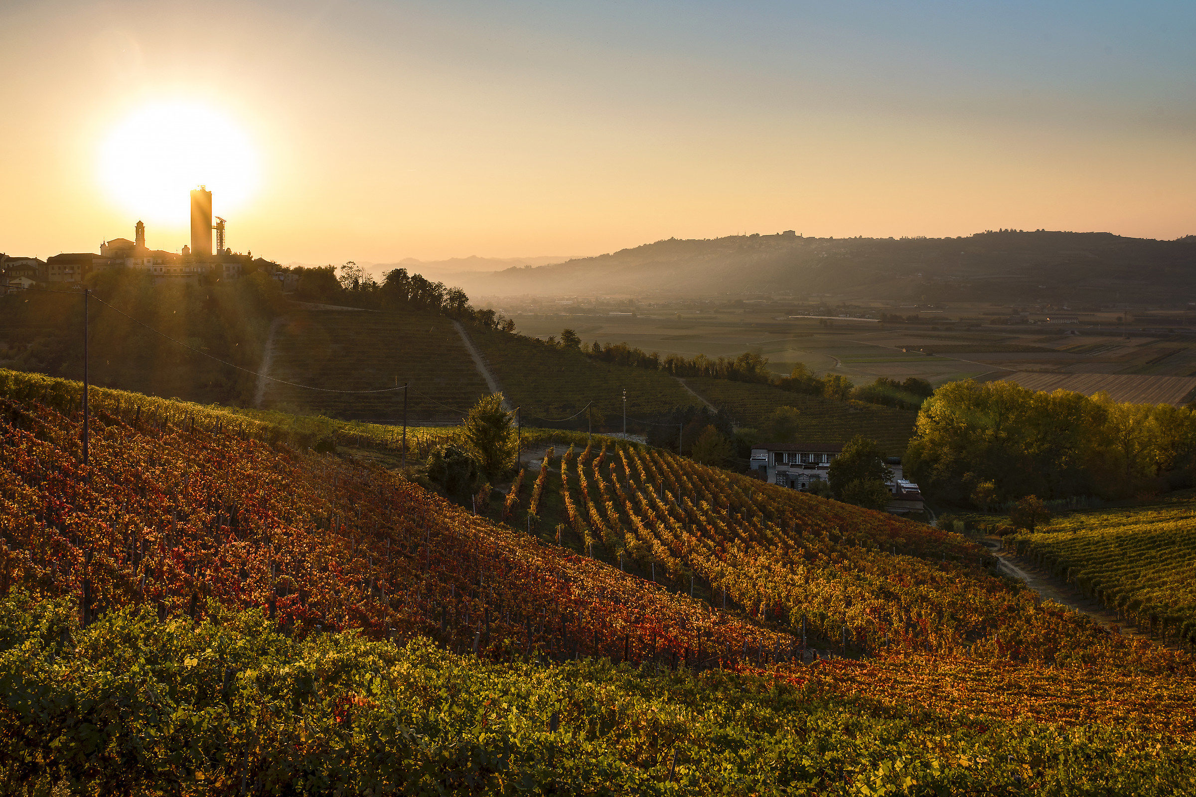 Barbaresco and its vineyards