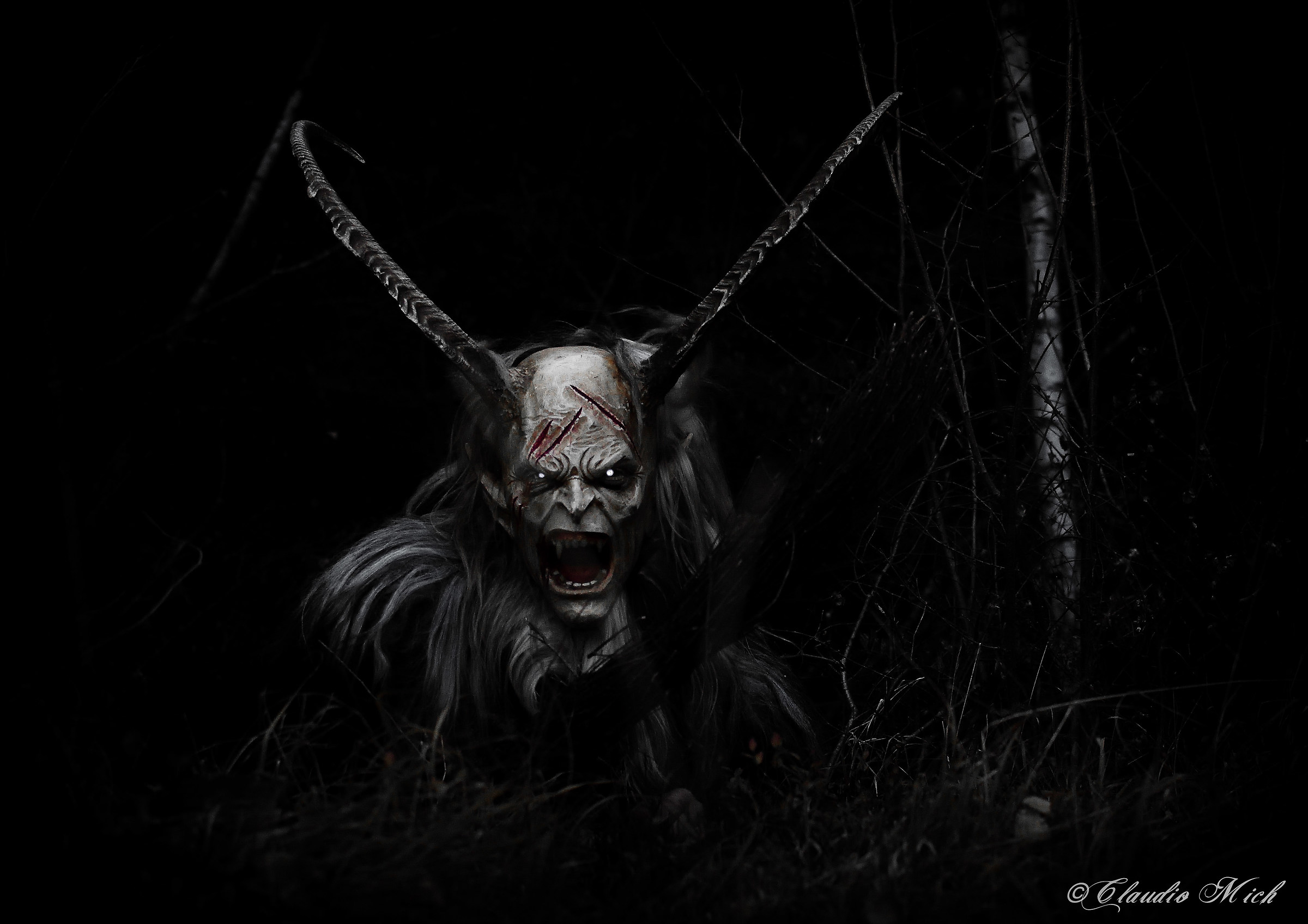 In the darkness of the forest