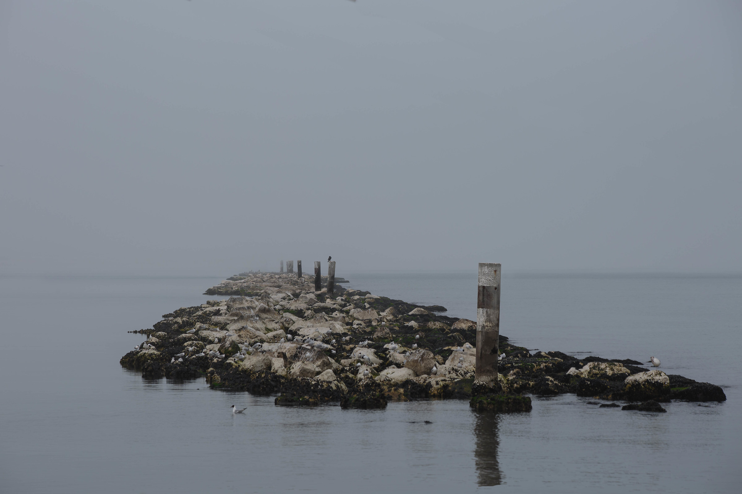 The sea around my life