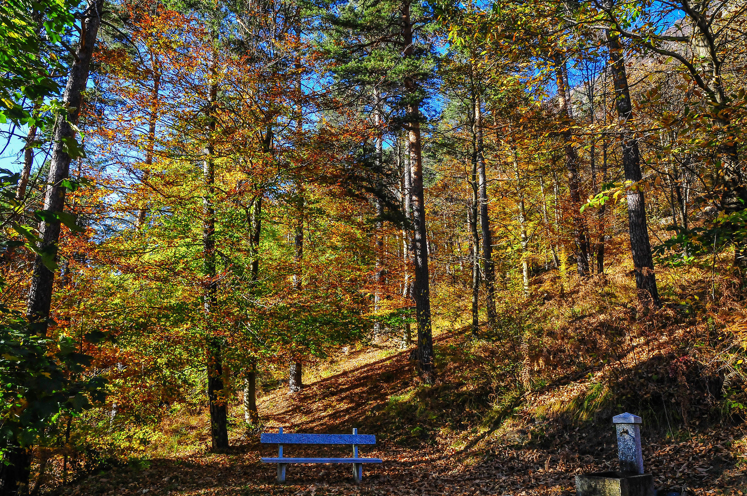Autumn in the mountains