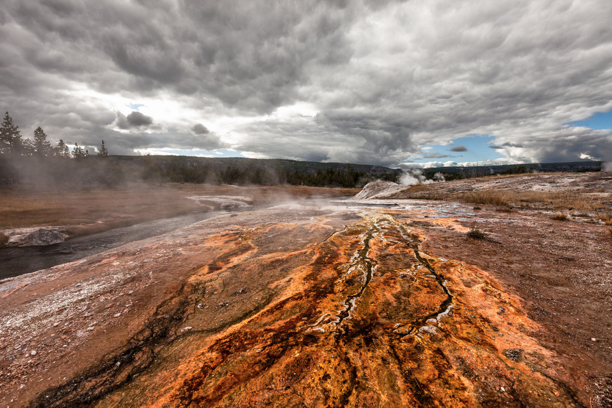 South Scalloped Spring