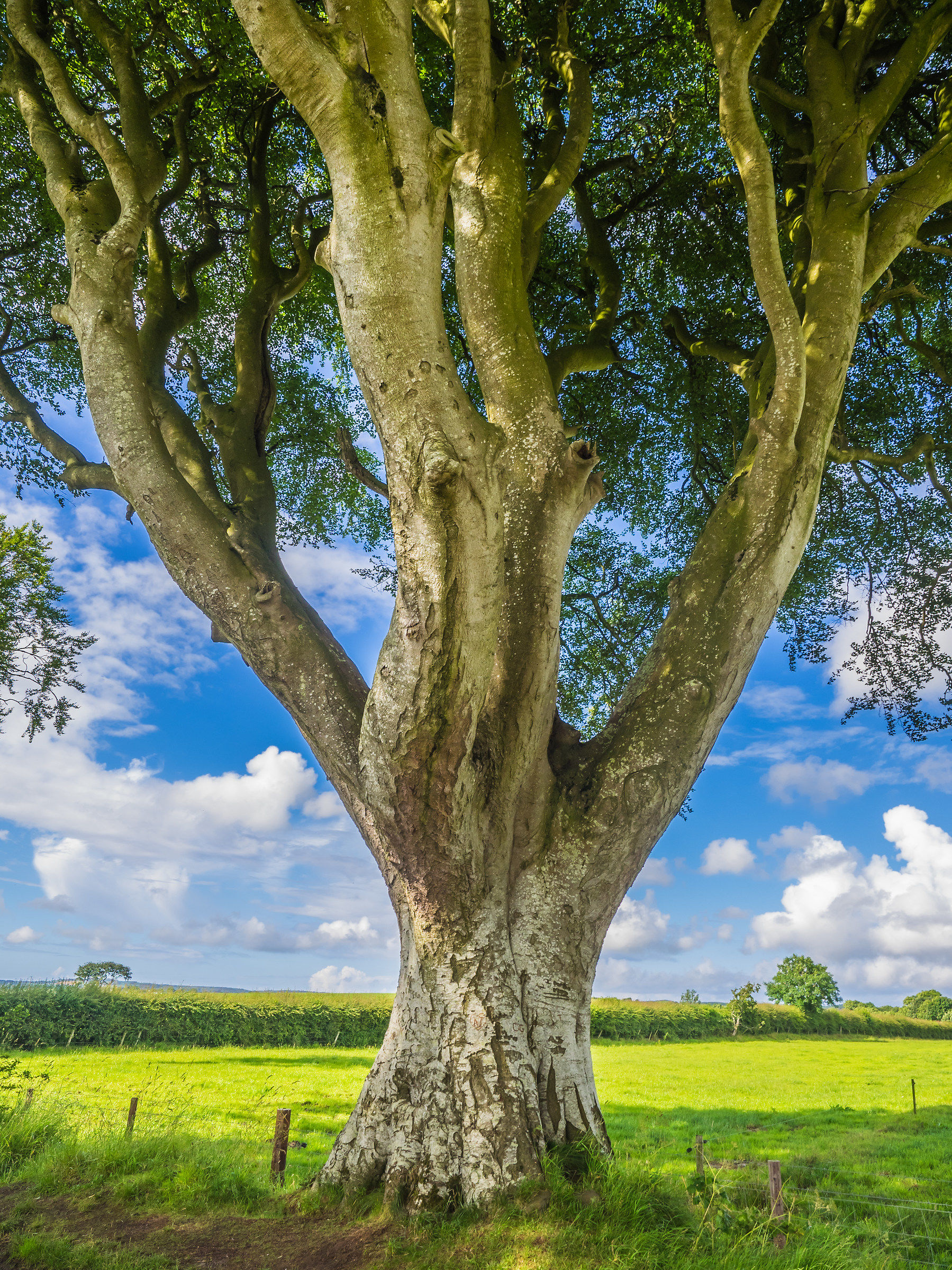 Ballymoney, Northern Ireland