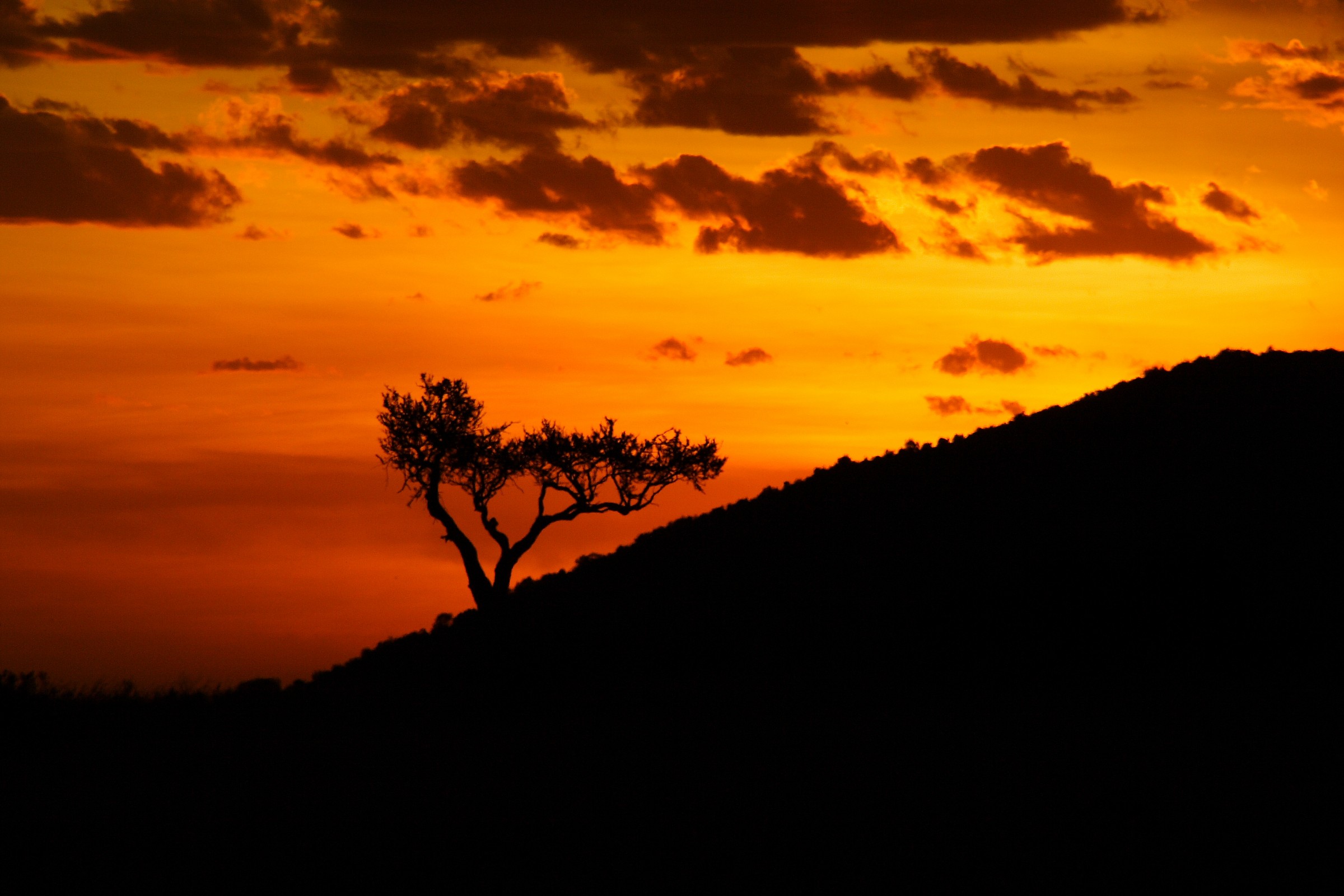 Masai Mara sunset