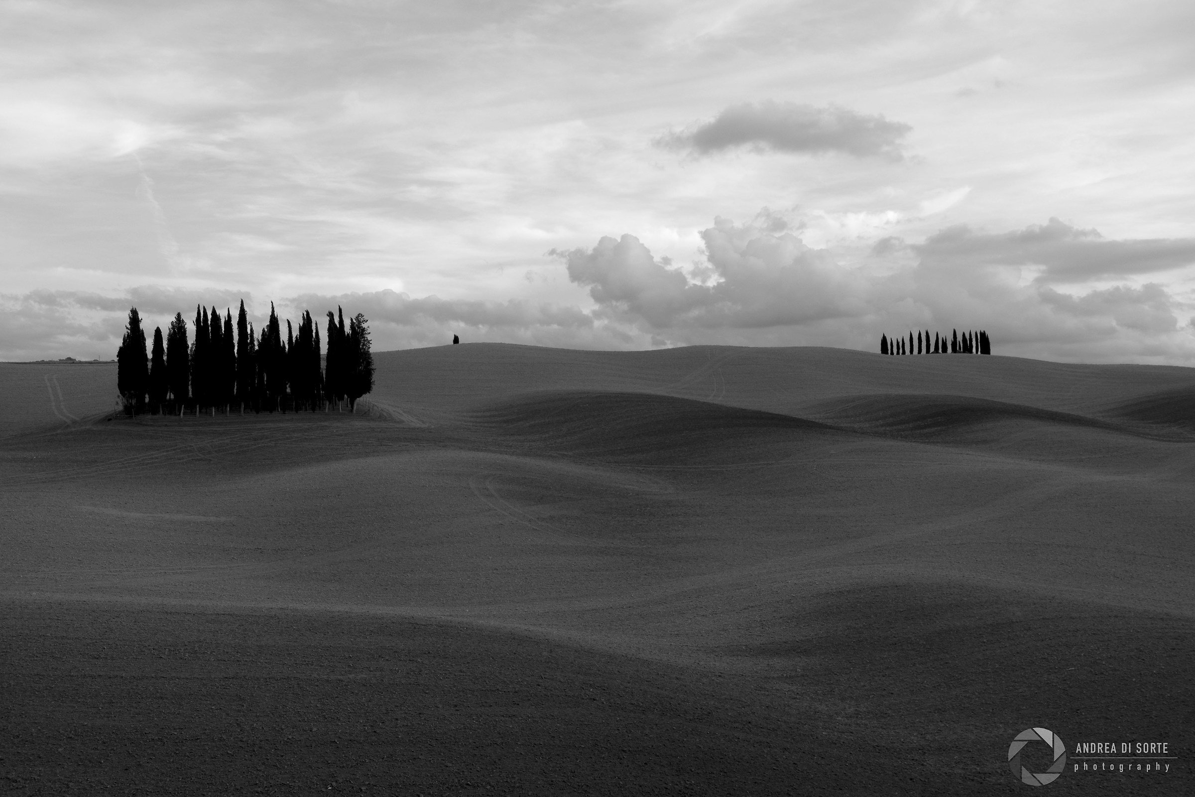 The magic of the Tuscan curves