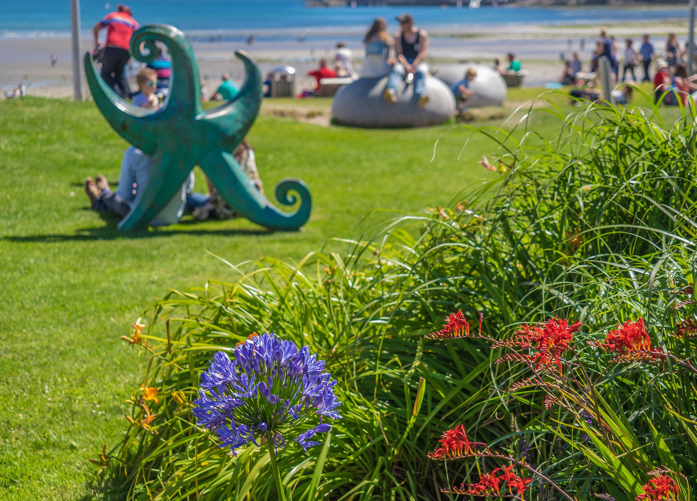 Flowers and starfish, Newcastle Harbour