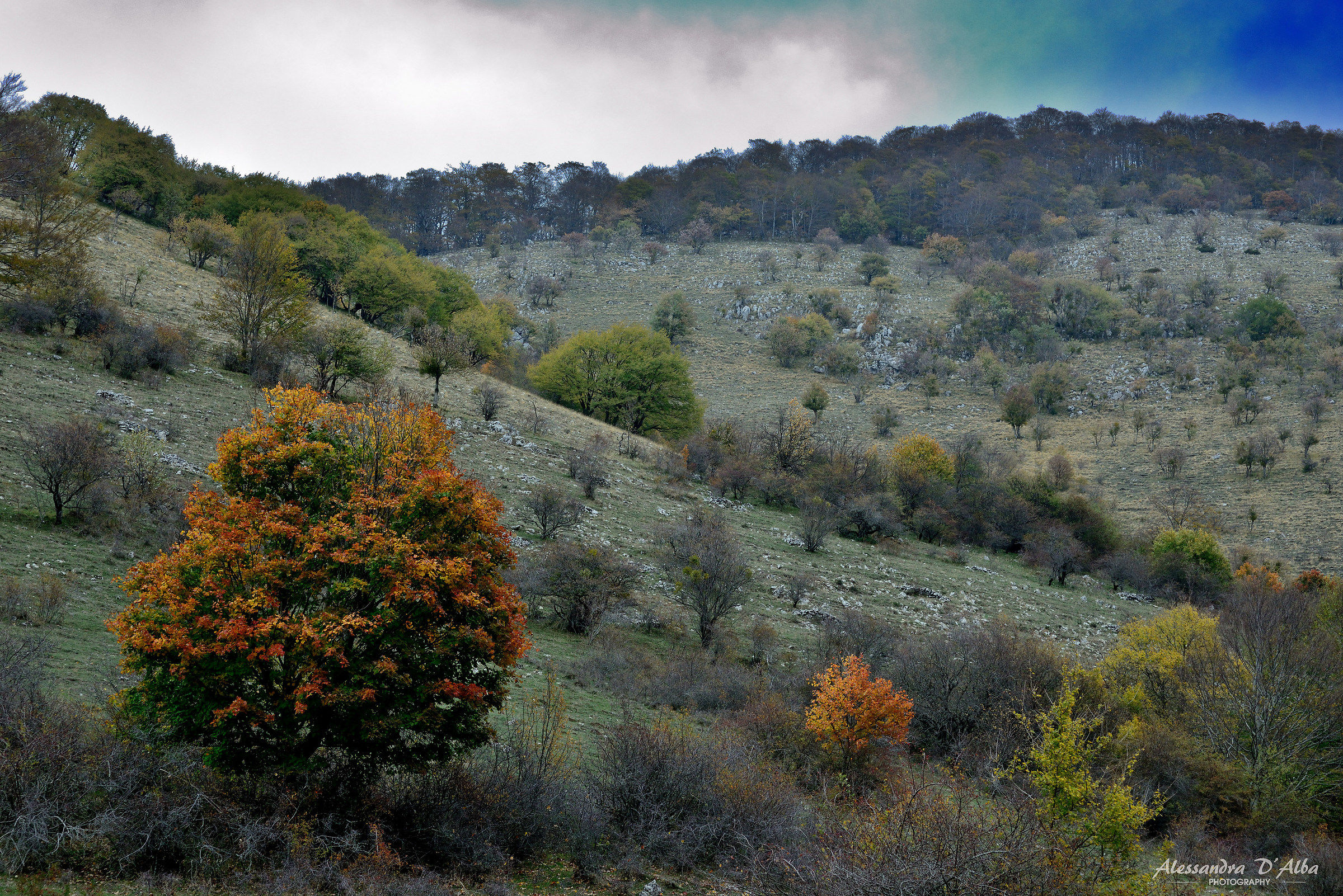 Simbruini in the fall