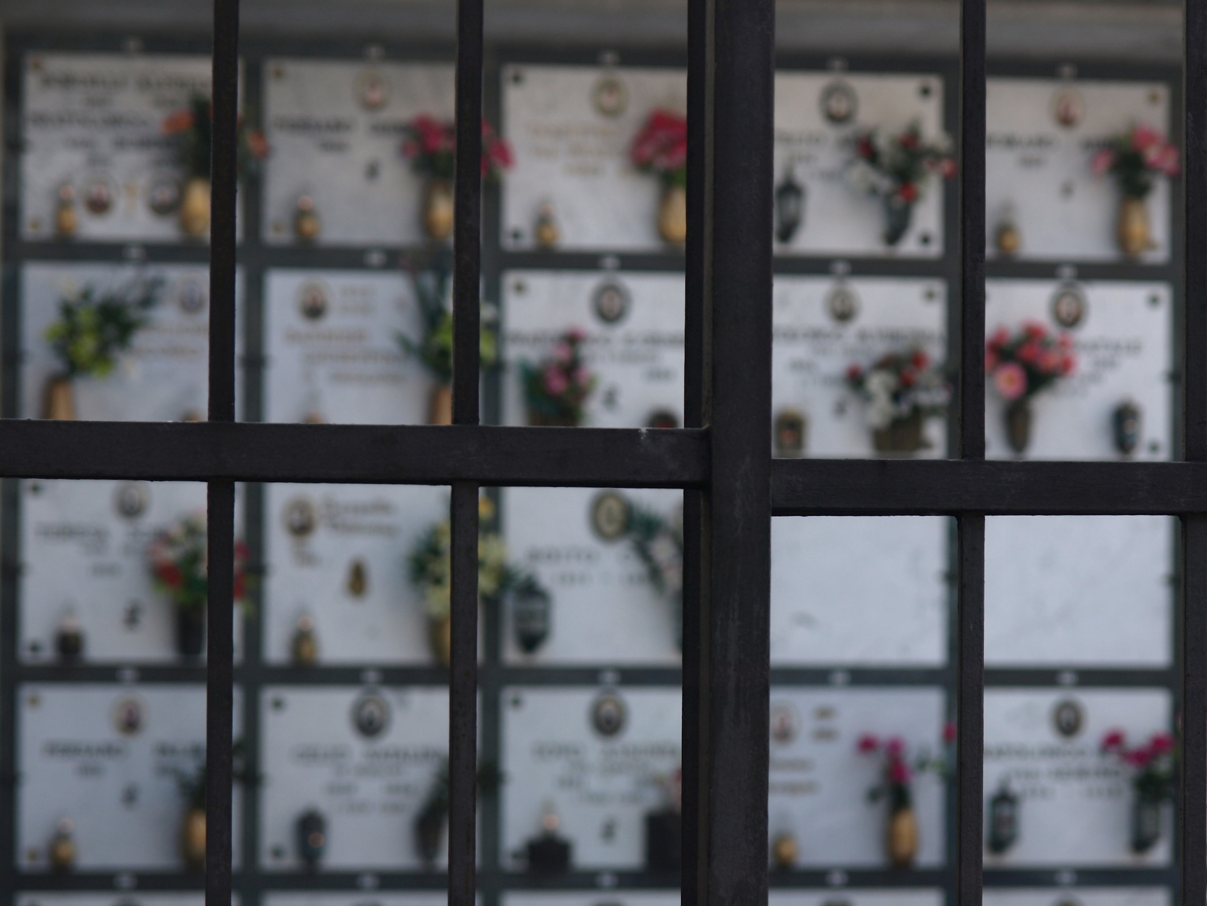 Ogni quadratino una Vita...