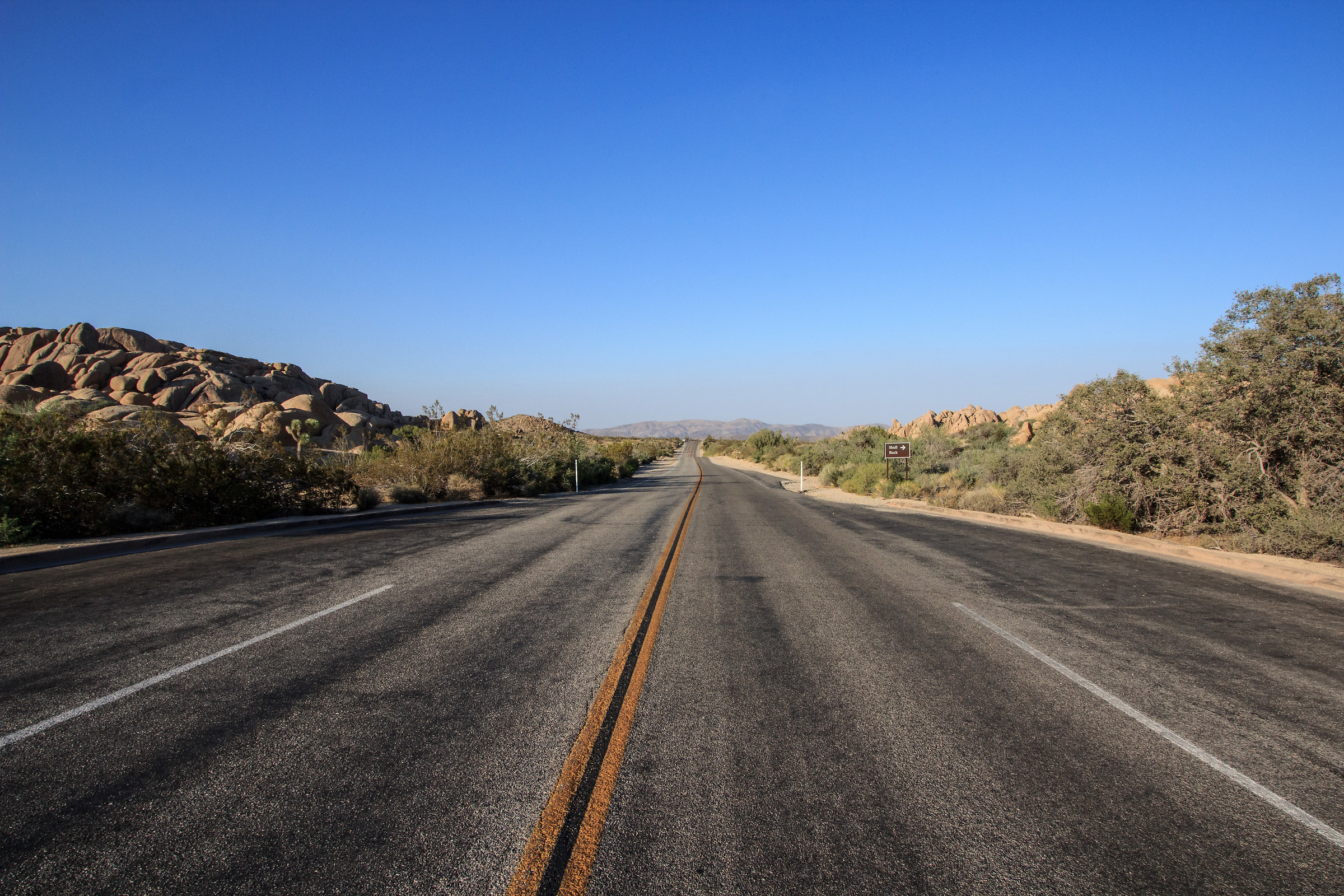 dove stiamo andando?