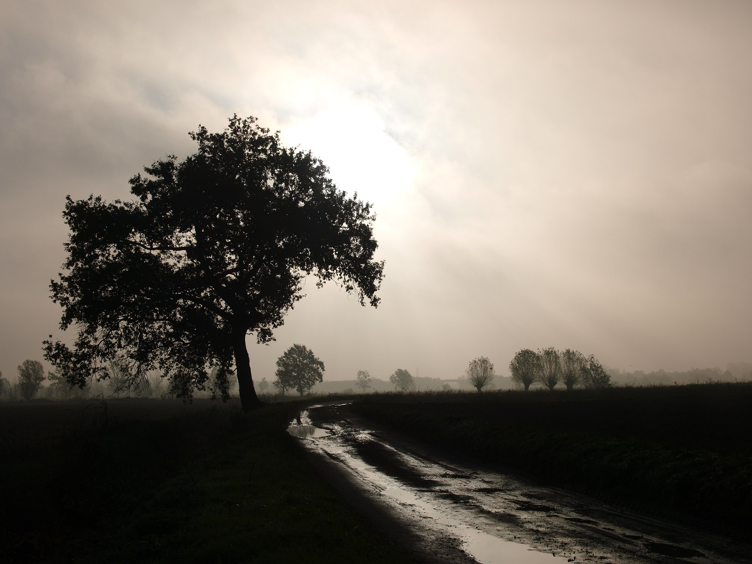 Rain in Lomellina ...