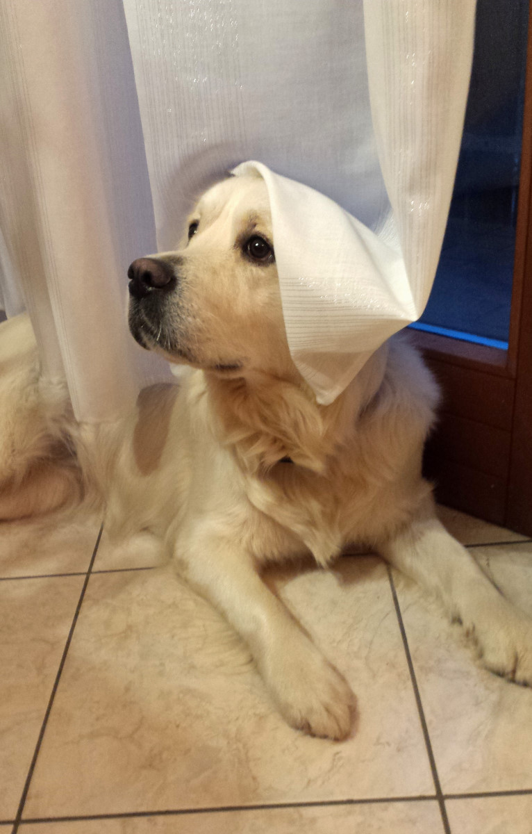 .... a strange presence in the house !!