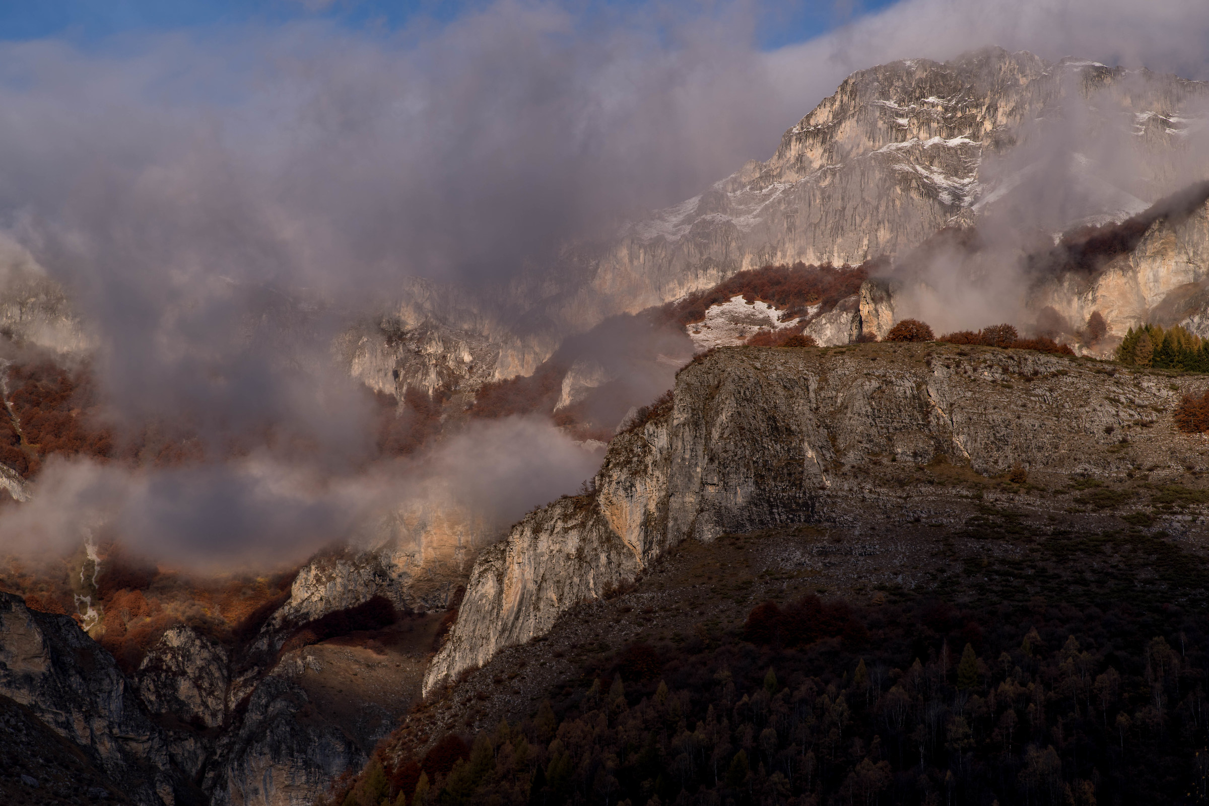 Le ombre della Nebbia