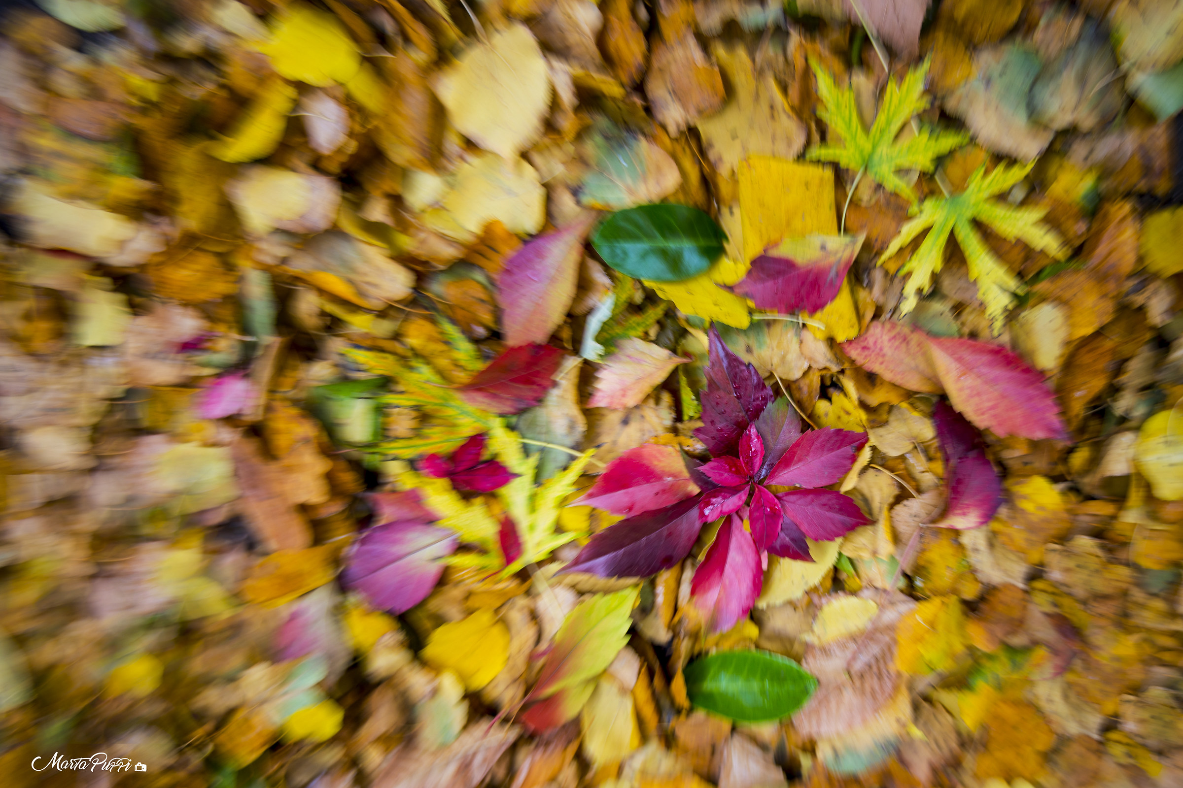 Autumn explosion