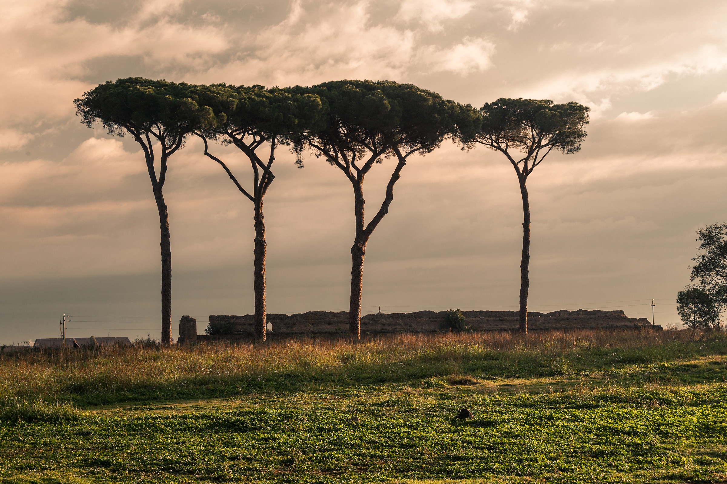 Parco degli acquedotti