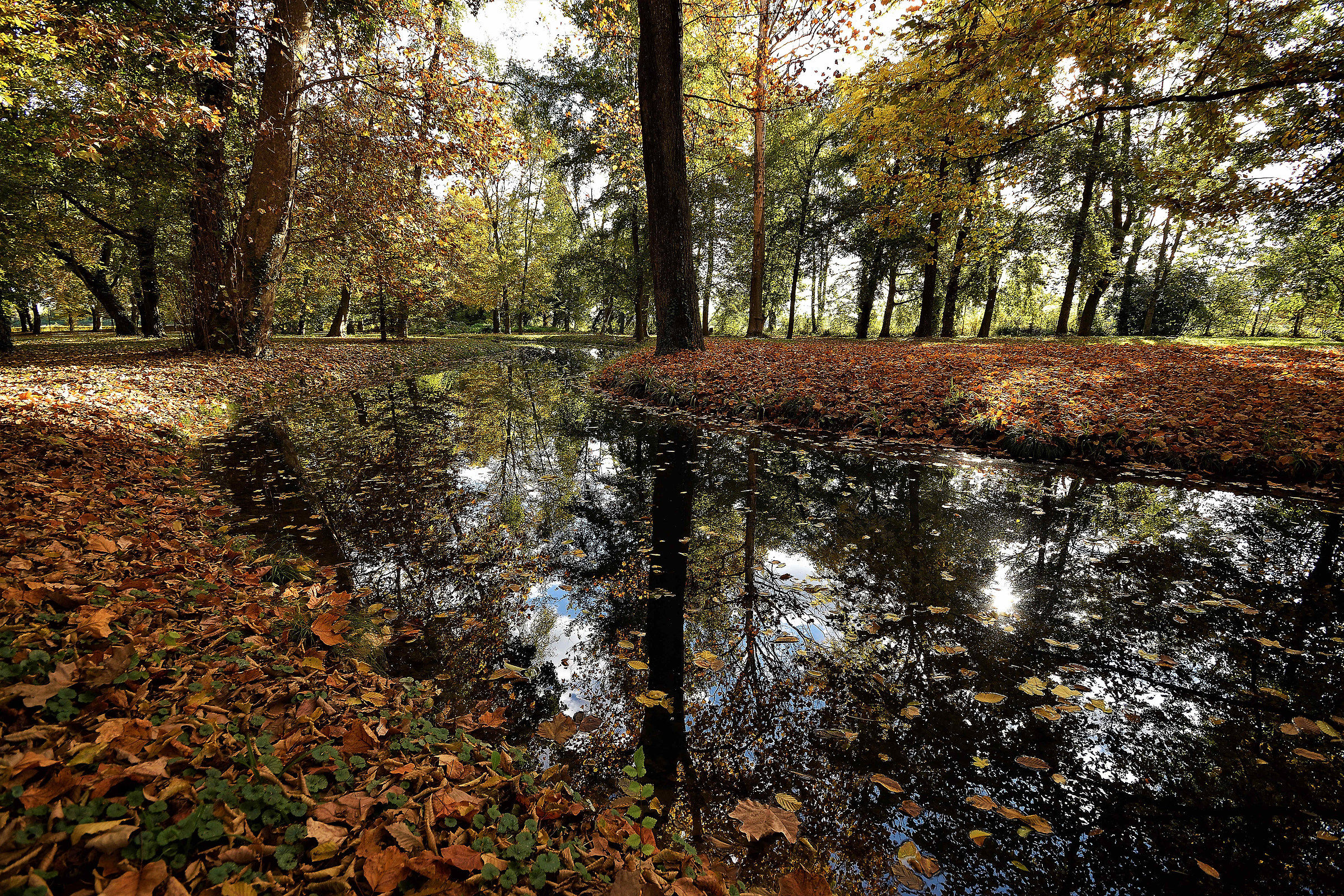 Watch where you put your feet