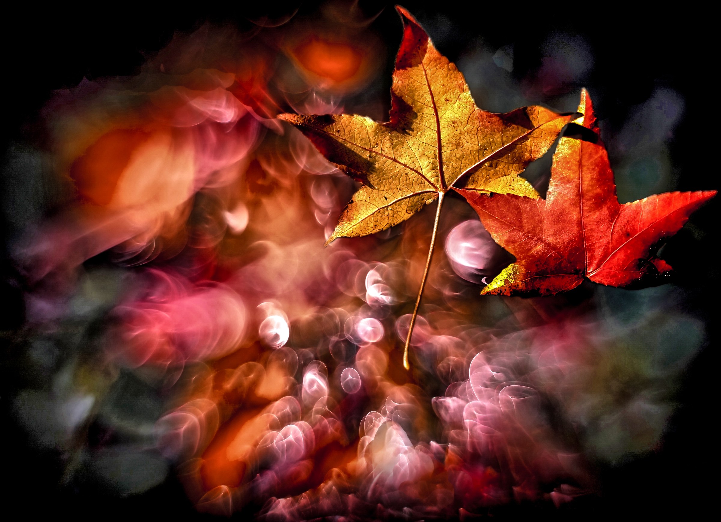 it is like autumn on the trees the leaves (v2 inv.)