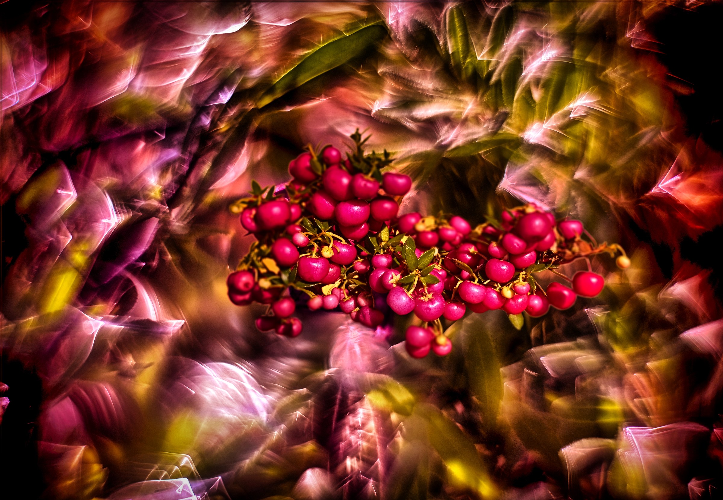 extreme bokeh (fuji 50 2.2 mod)