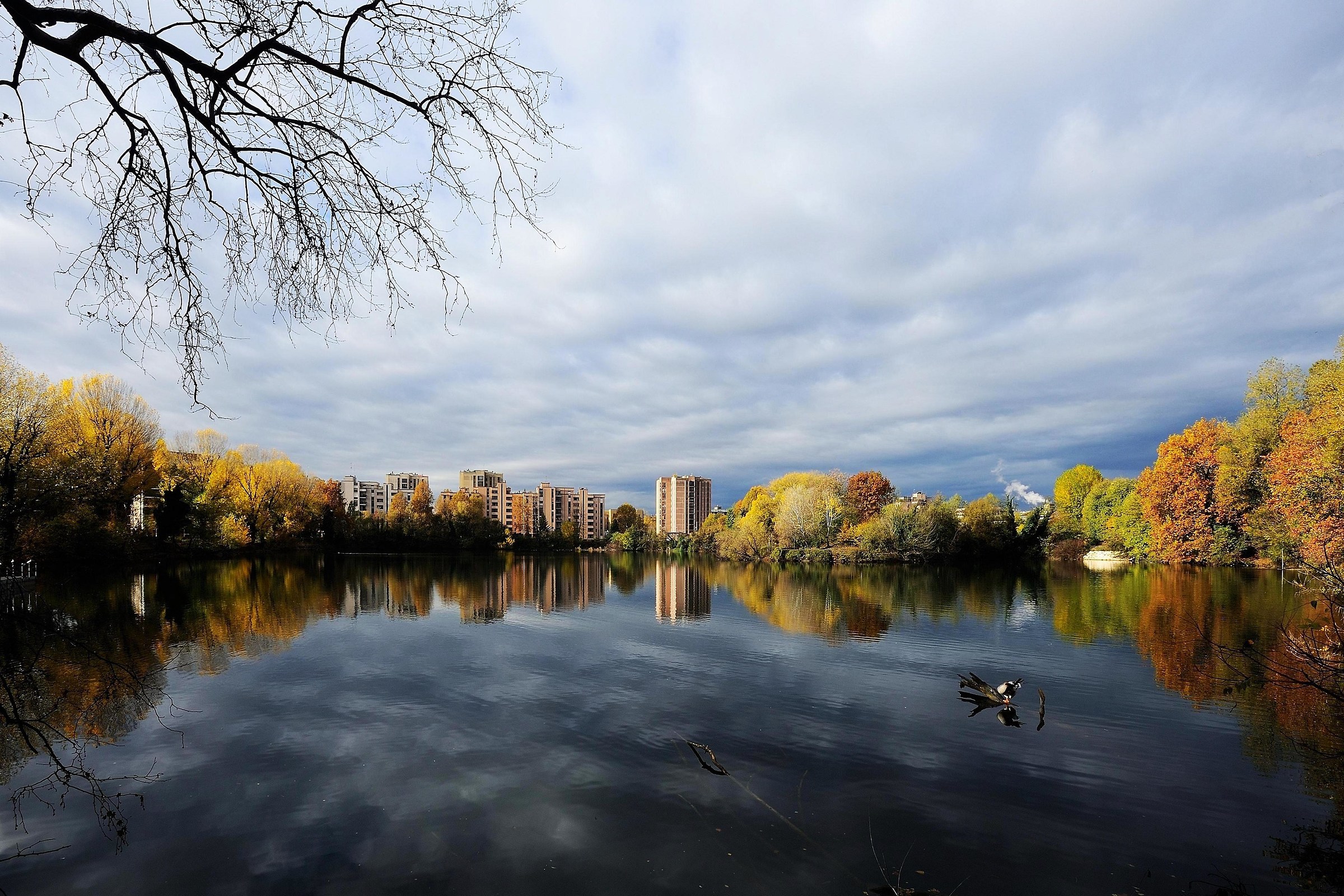 Due passi dietro casa