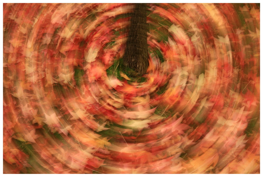 Astratto autunnale_1