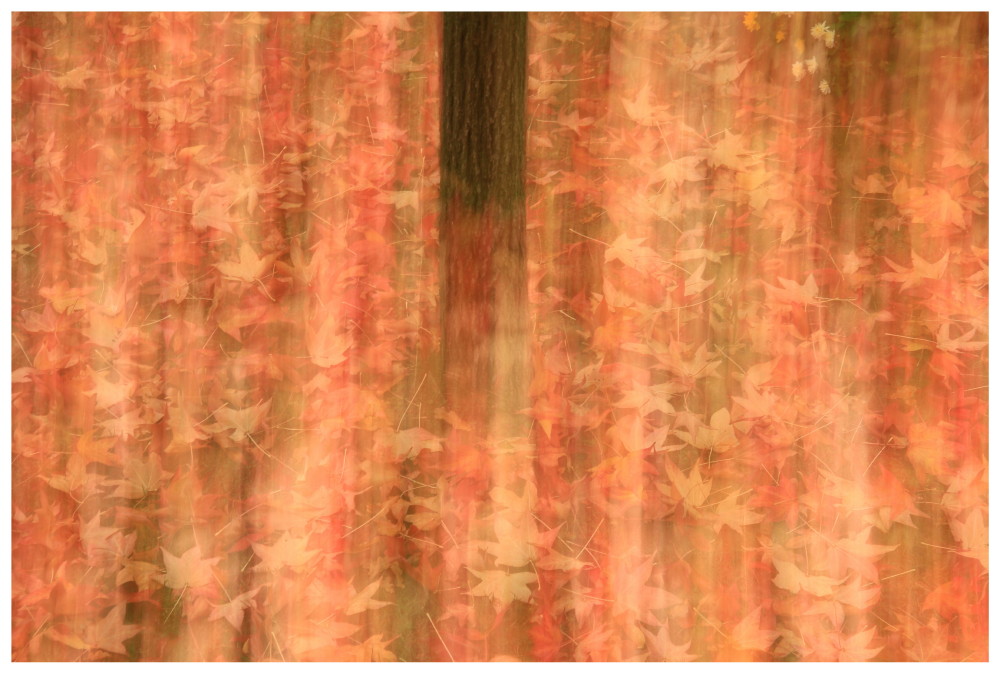 Astratto autunnale_2