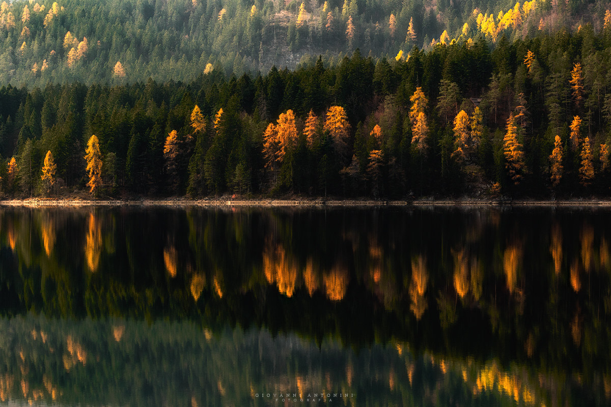 brushstrokes at Tovel