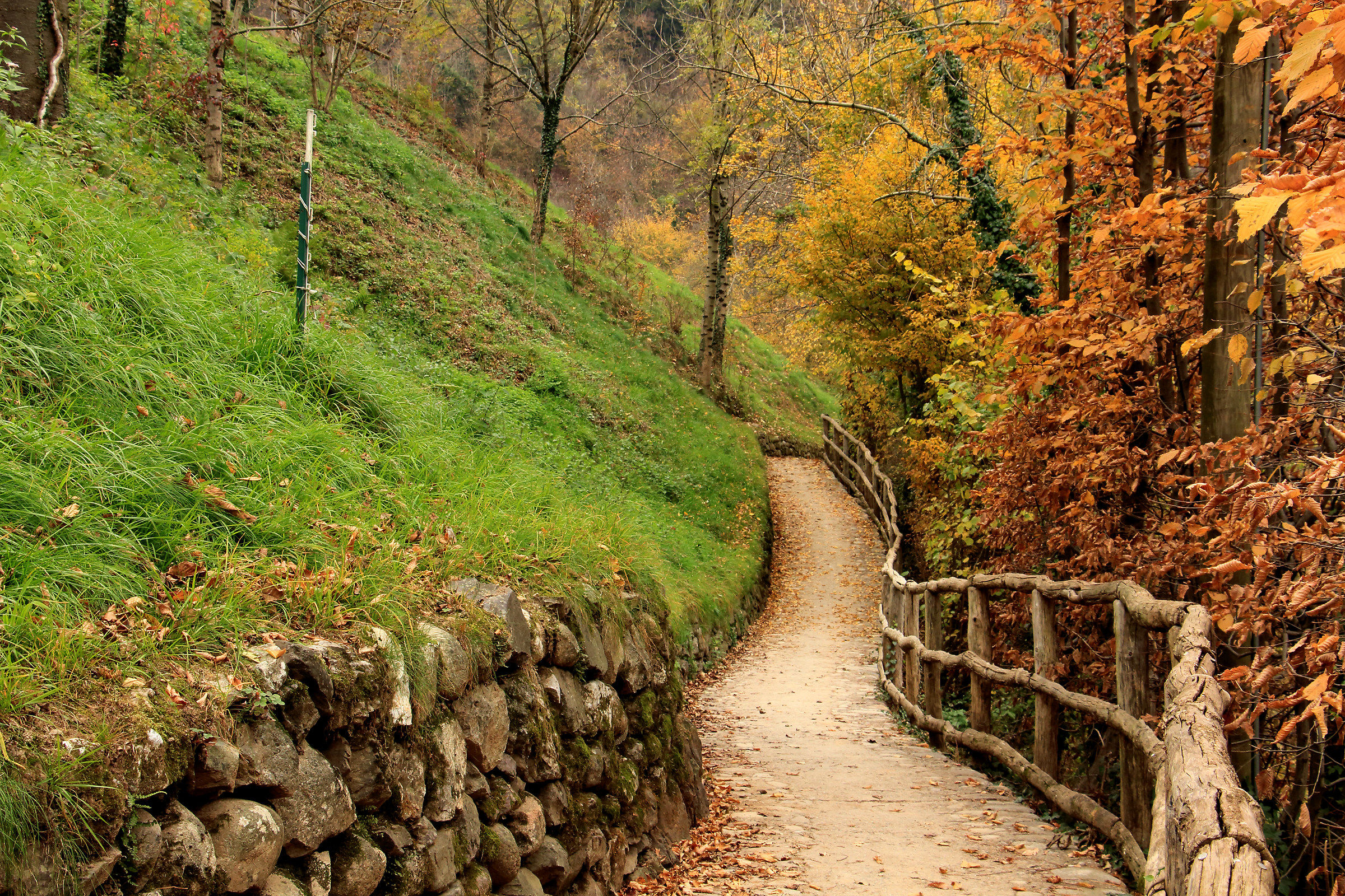 viottolo del "Tasso"