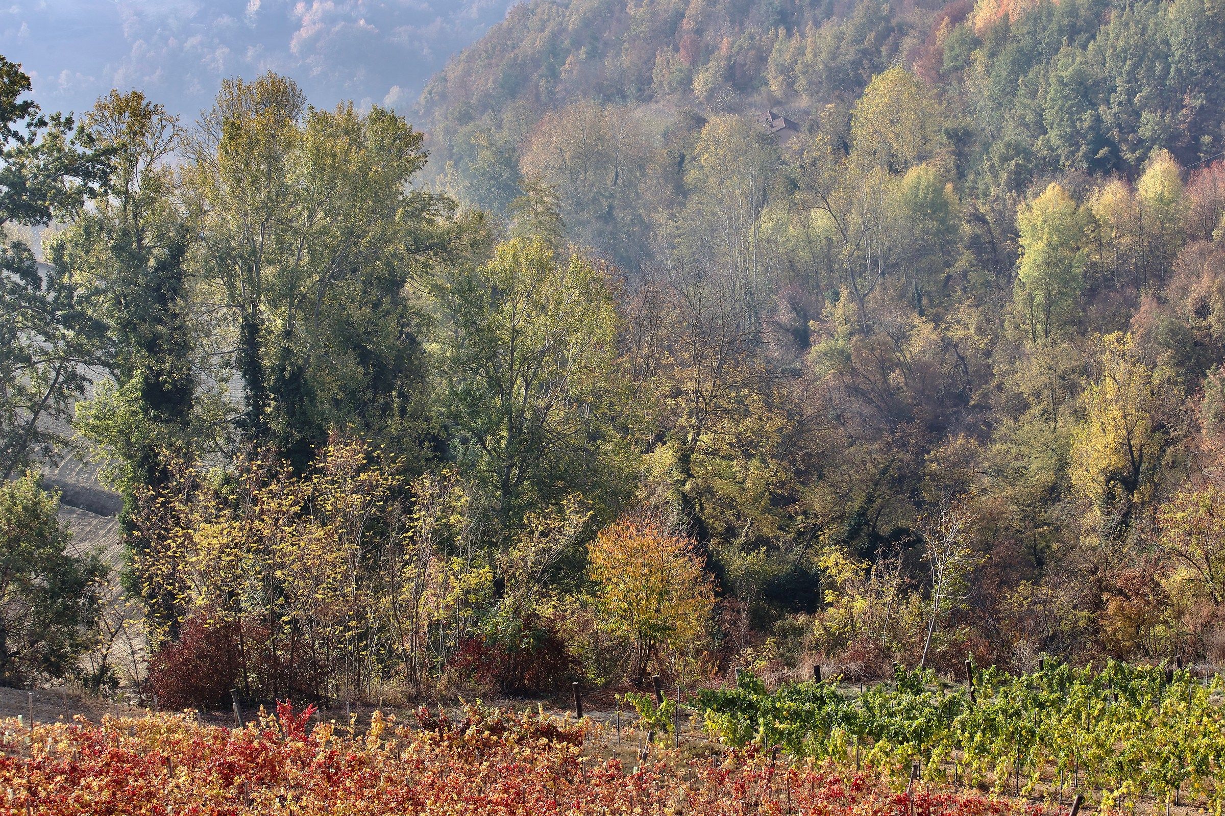 Dedicato a William Turner