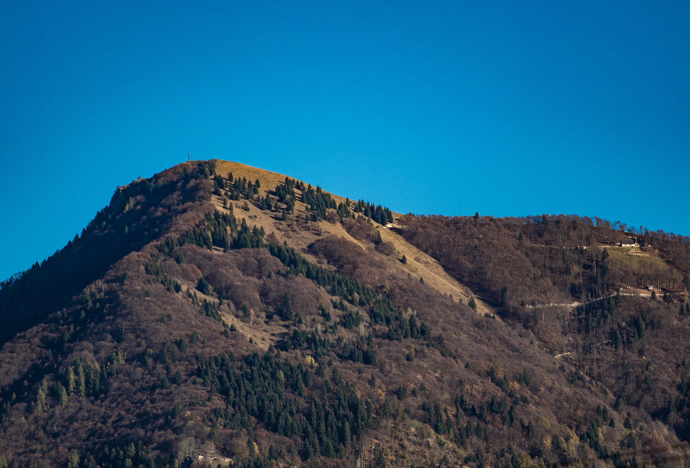 Monte Tomatico, Feltre (bl)