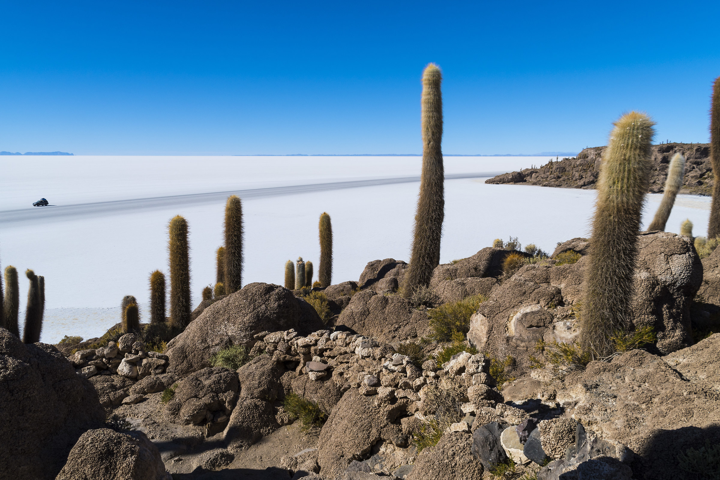 Isola Incahuasi presso il Salar di Uyuni