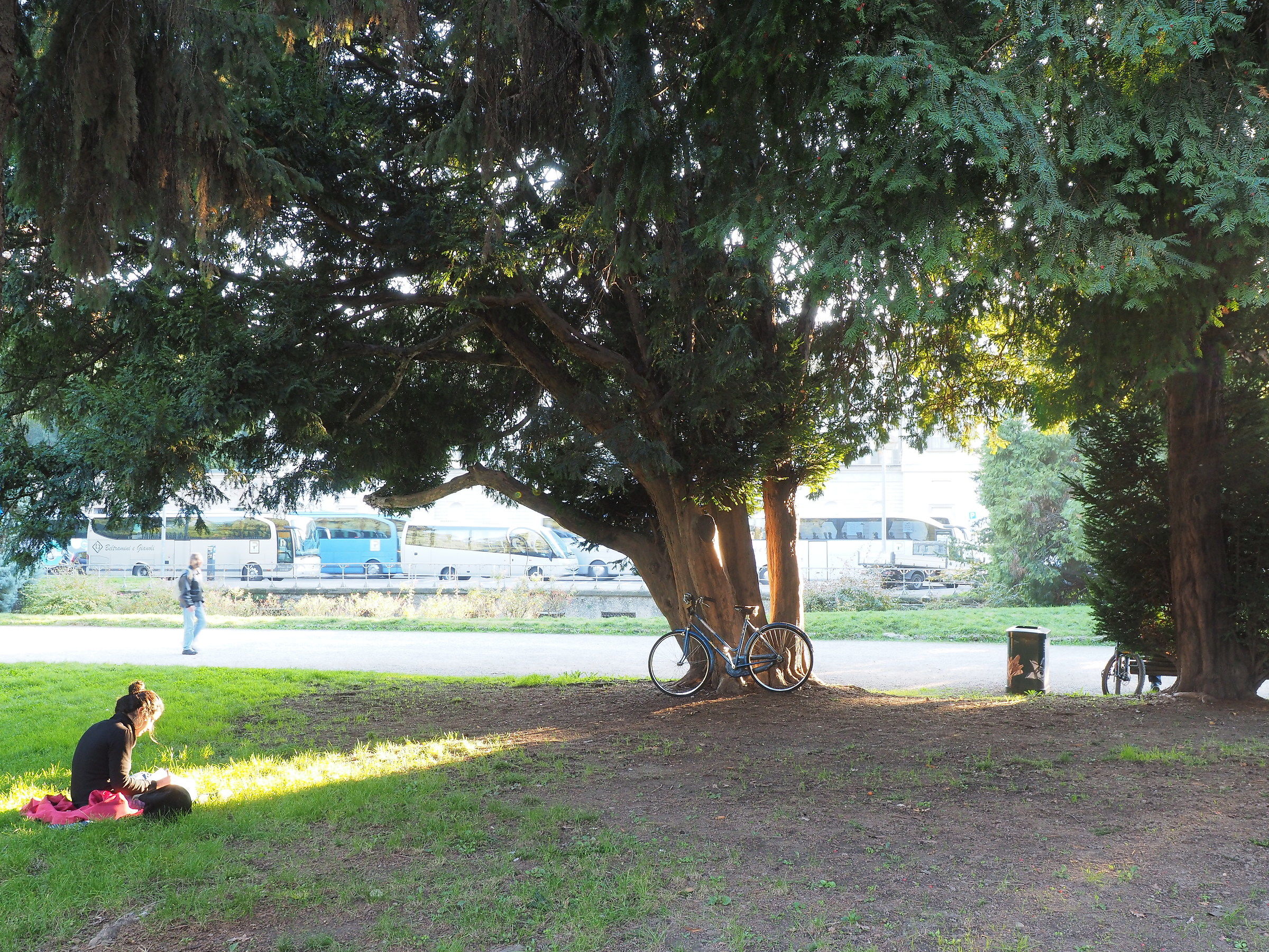 The last ray of sun .......