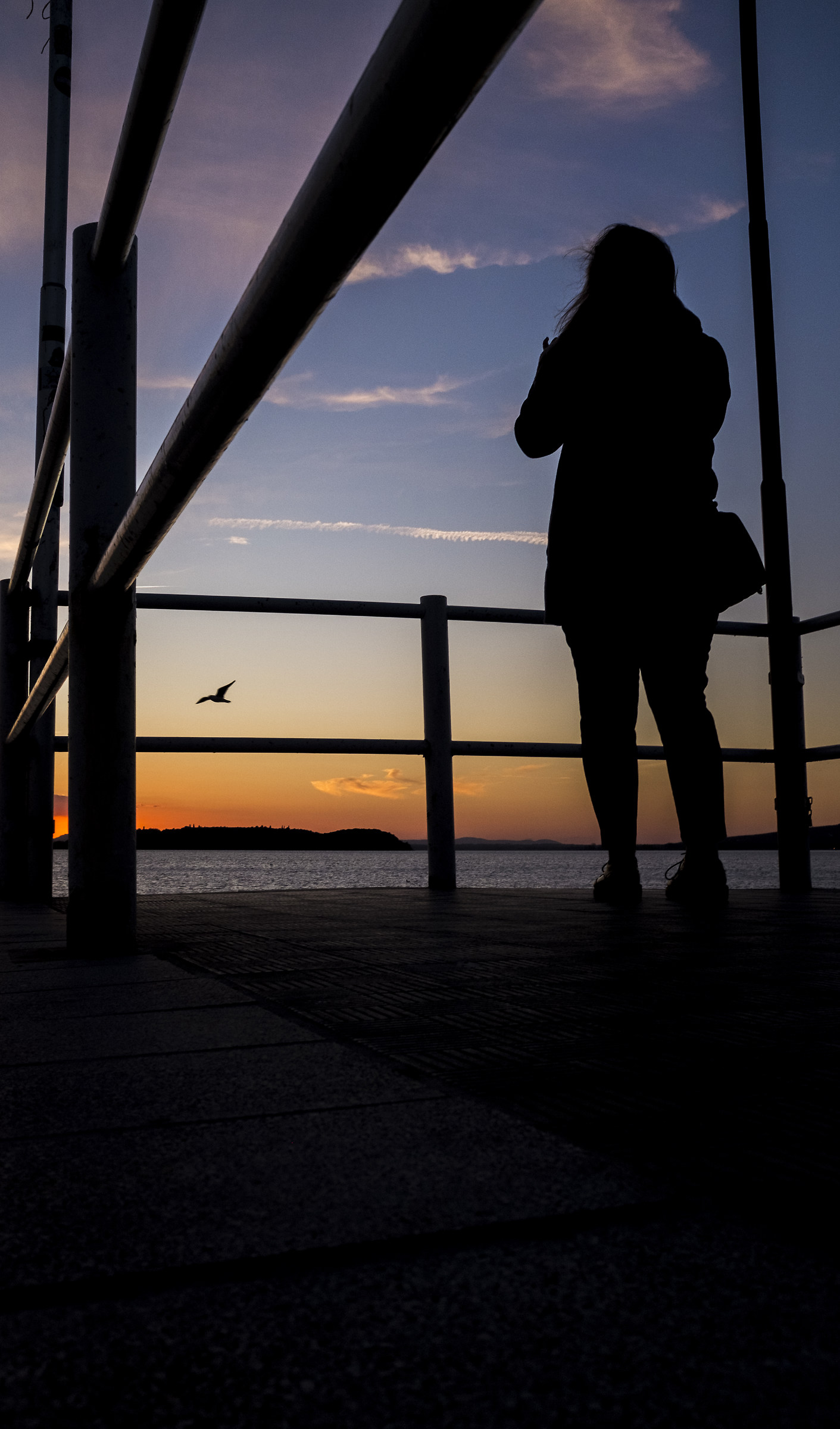 Ammirando la libertà