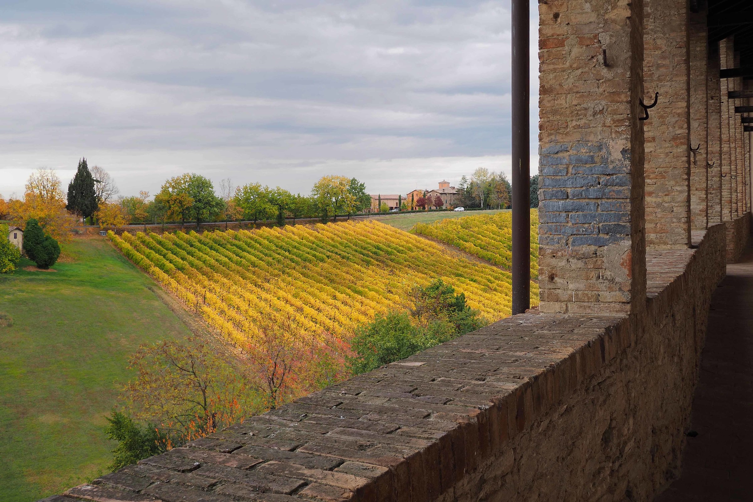 They move from Modena