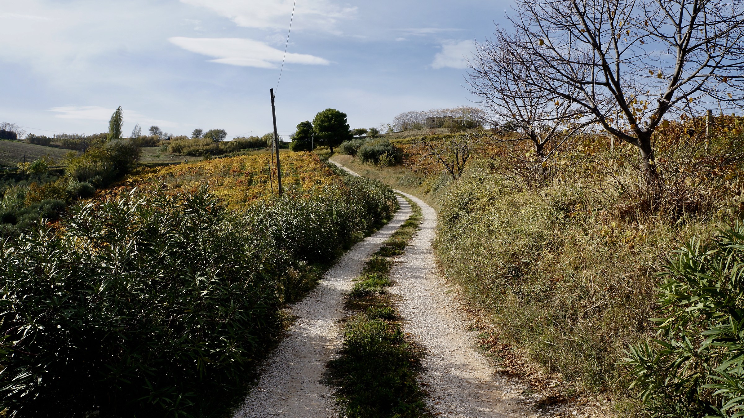 Stradina interpoderale