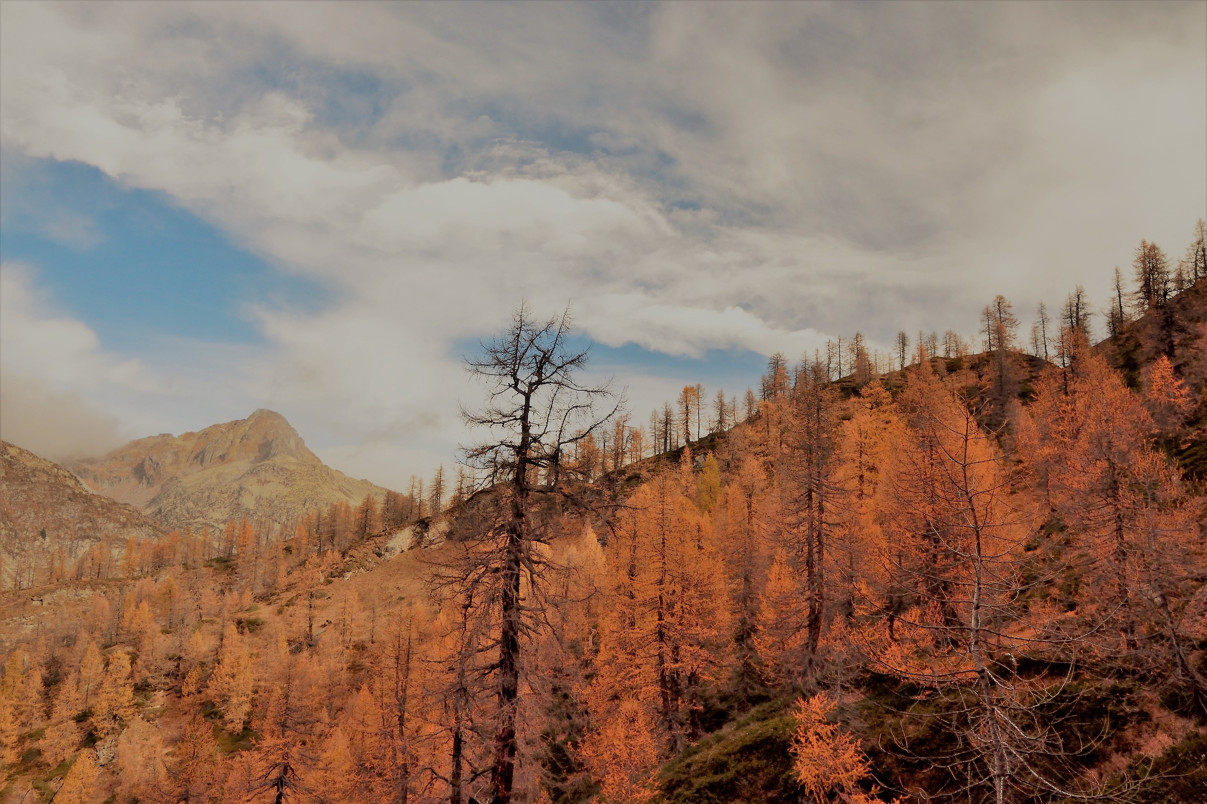 from the Crampiolo trail