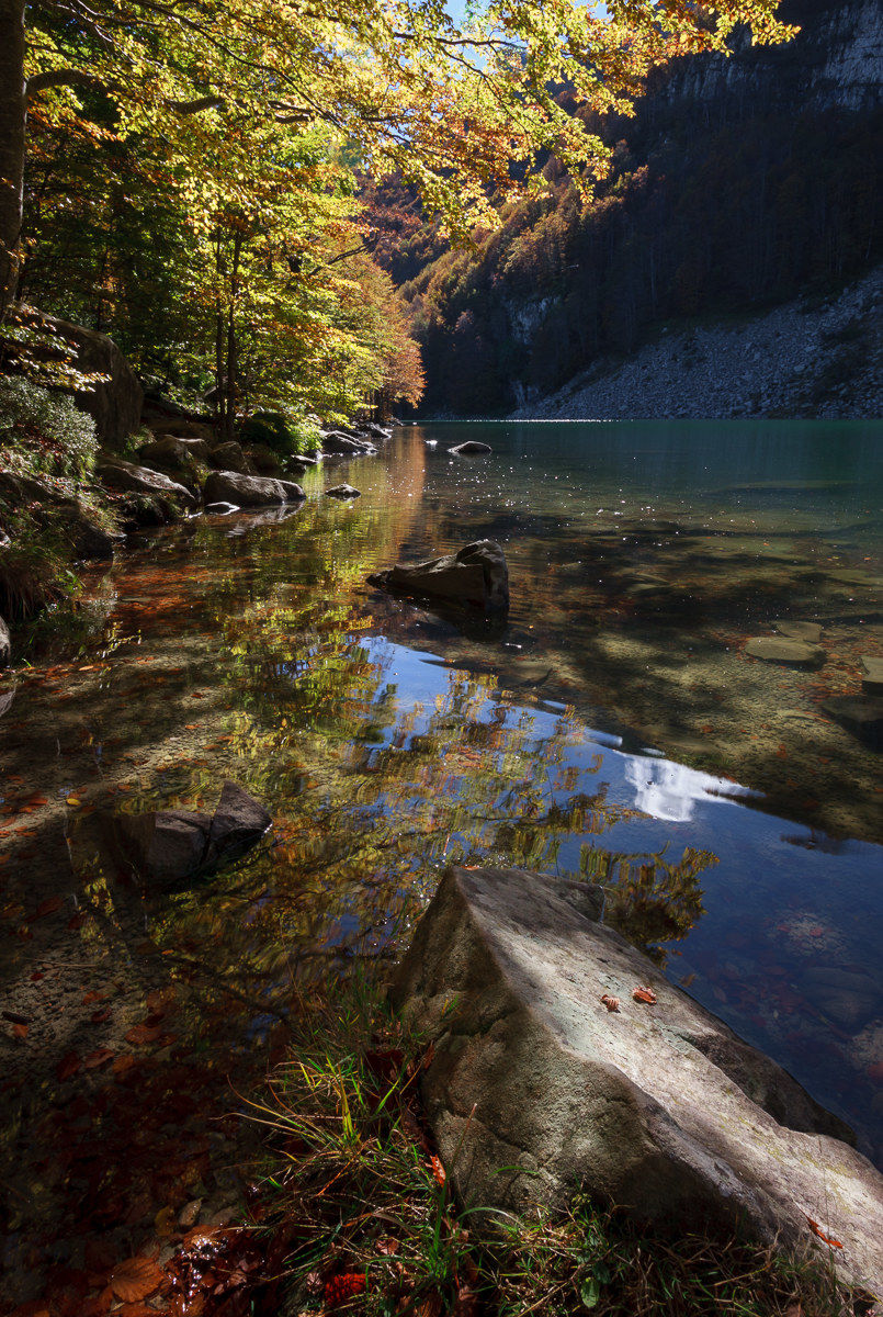 Autumn mixed on the lake ...