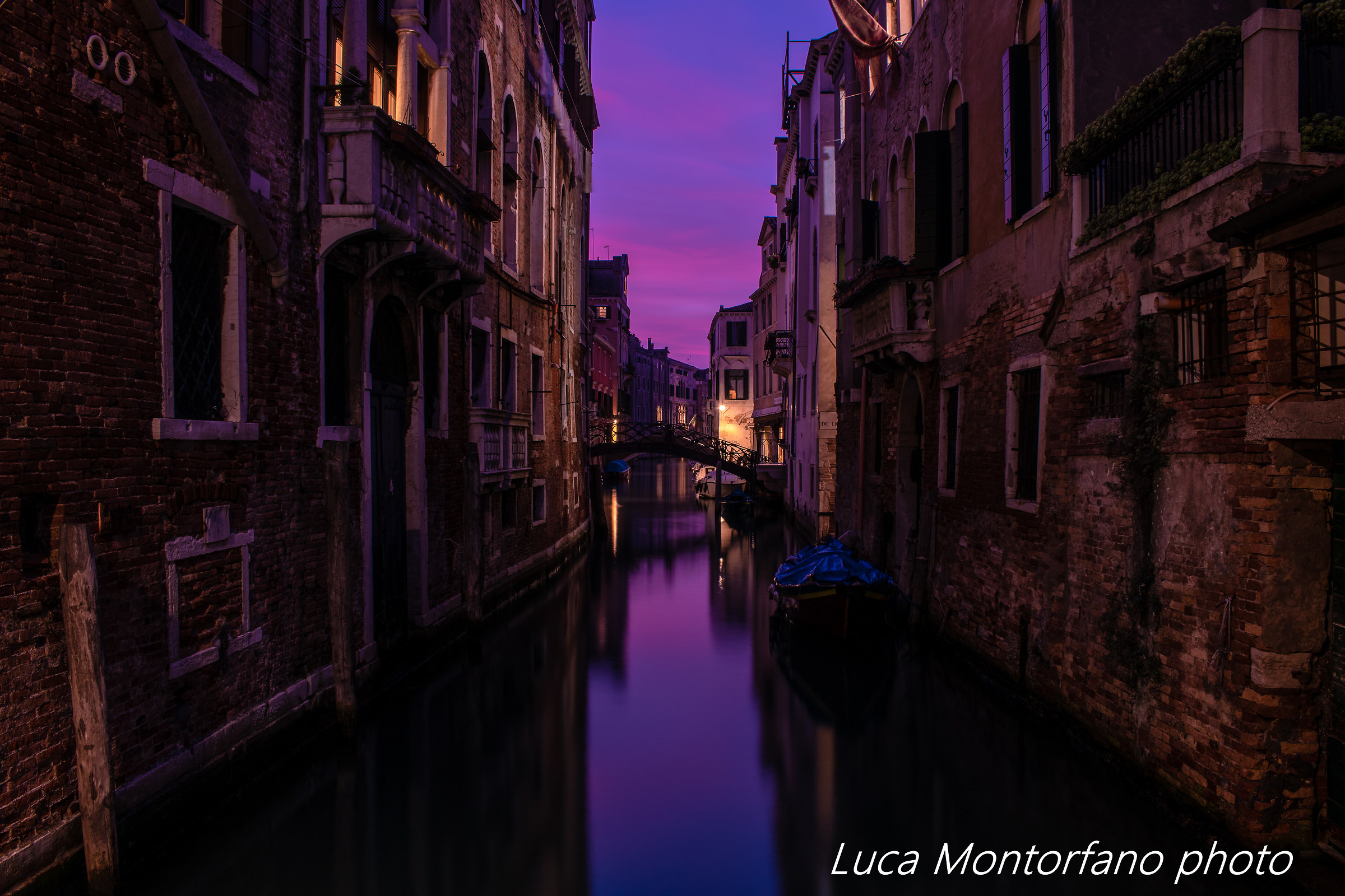 Purple Venice