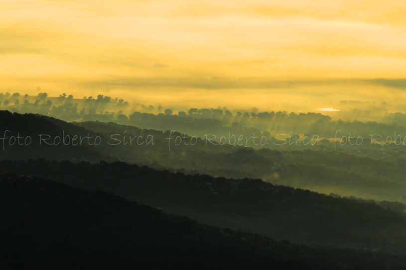 Lecceta in Sa Serra di Nuoro